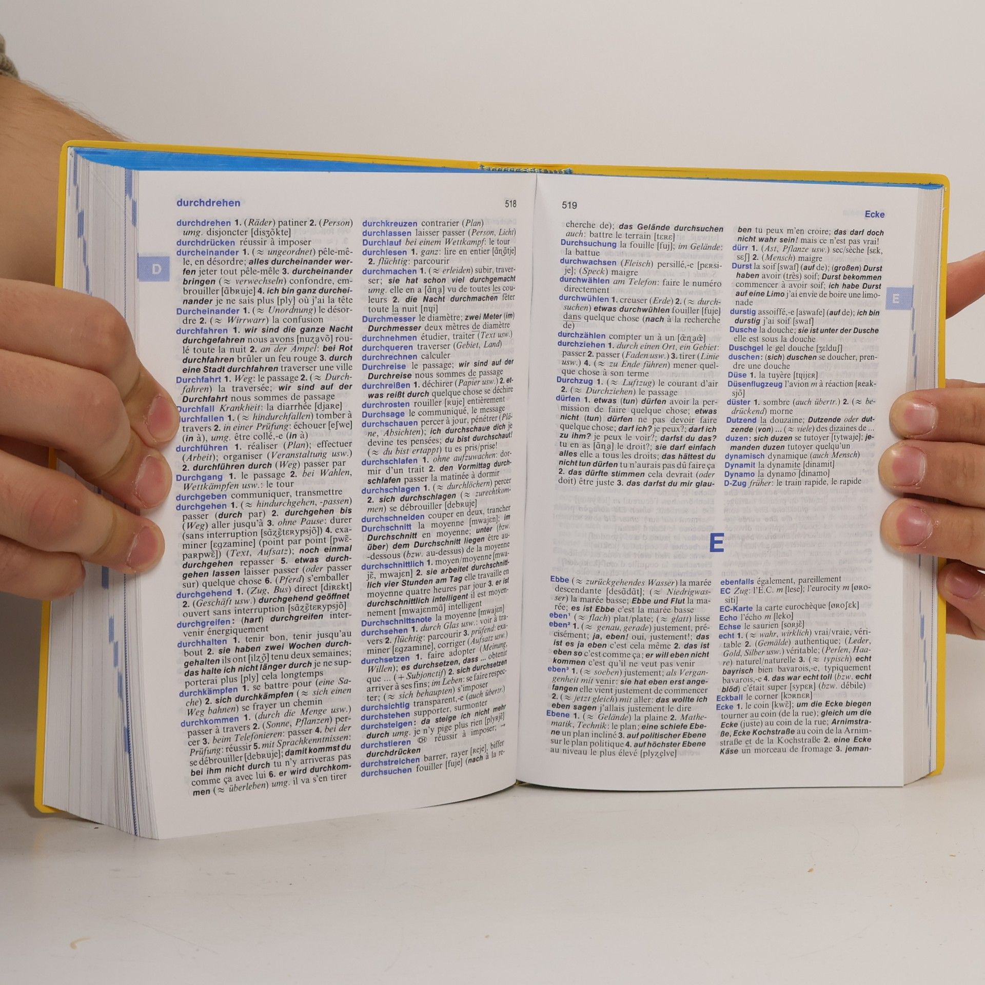 kolektiv Langenscheidts Power Wörterbuch : Französisch