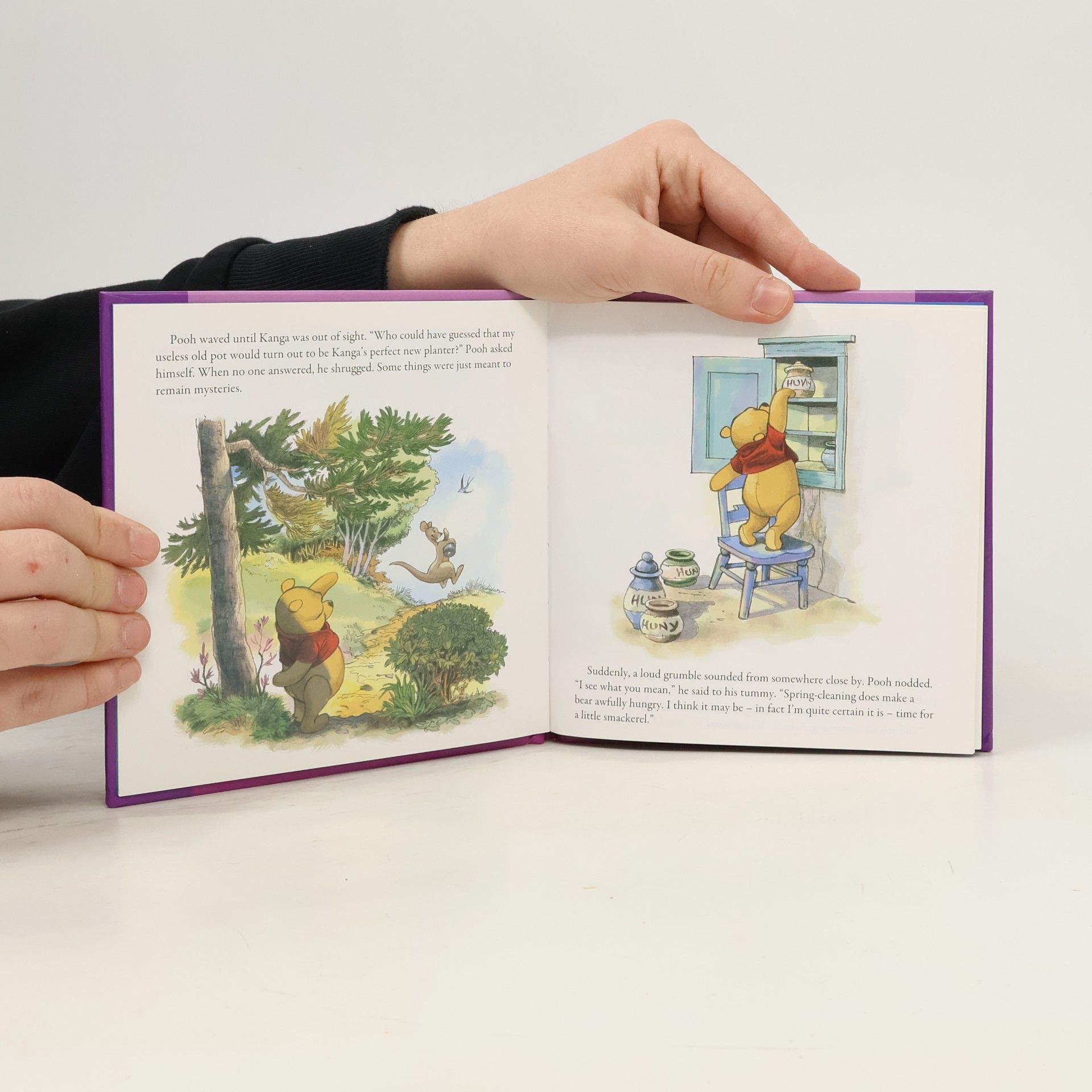 K. Emily Hutta Disney Mini Storybooks: Winnie the Pooh