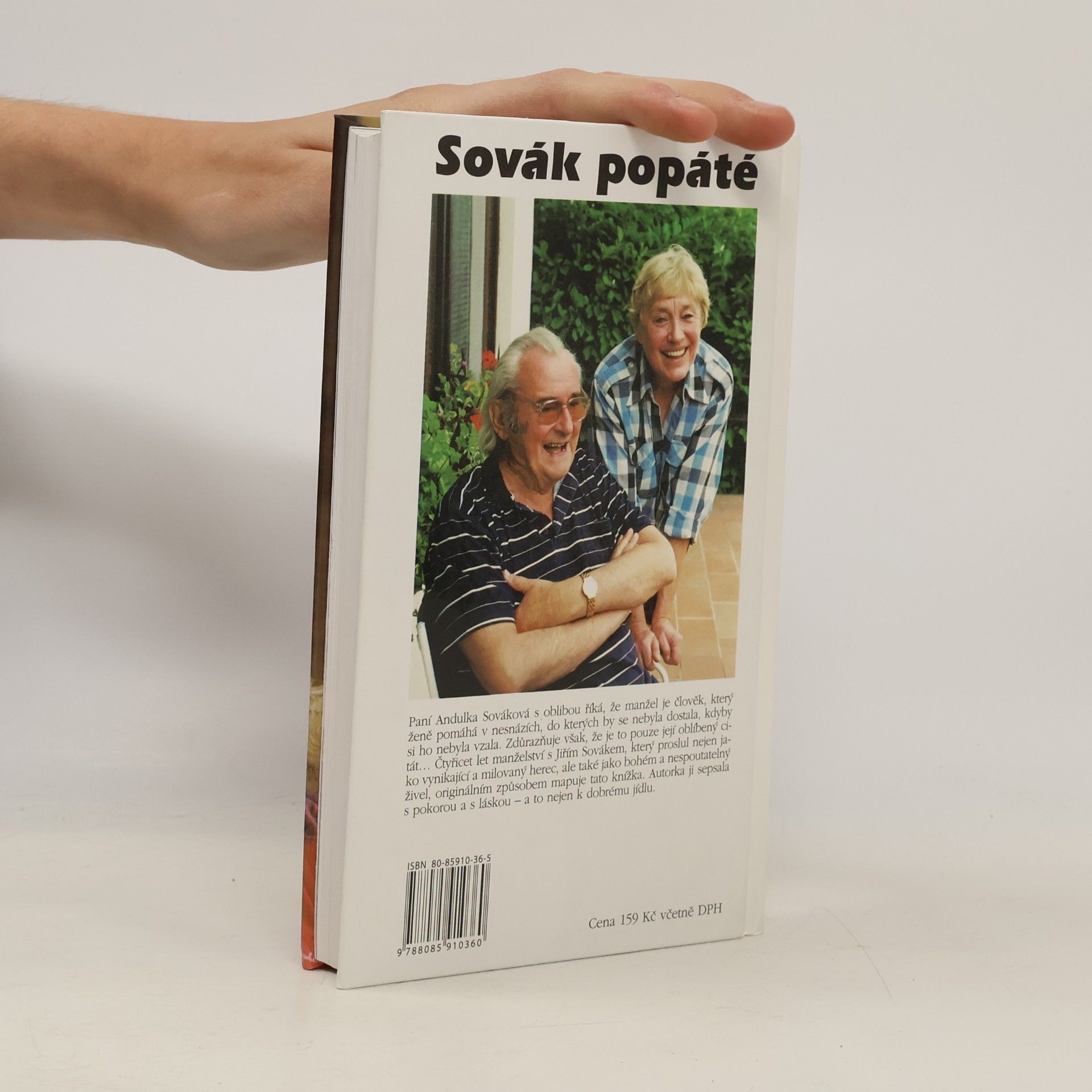 Anna Sováková Sovák popáté. Život se Sovákem, aneb, Uragán