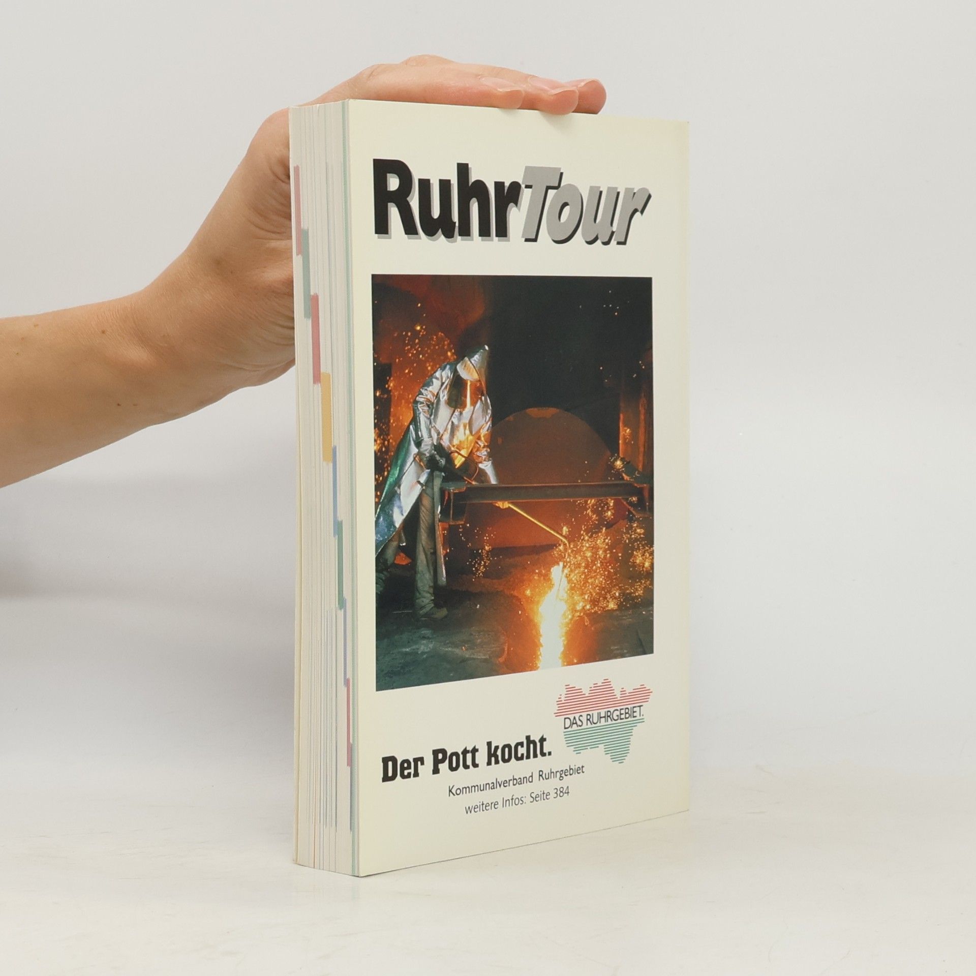 Achim Nöllenheidt Revier im Griff. Reiseführer Ruhrgebiet