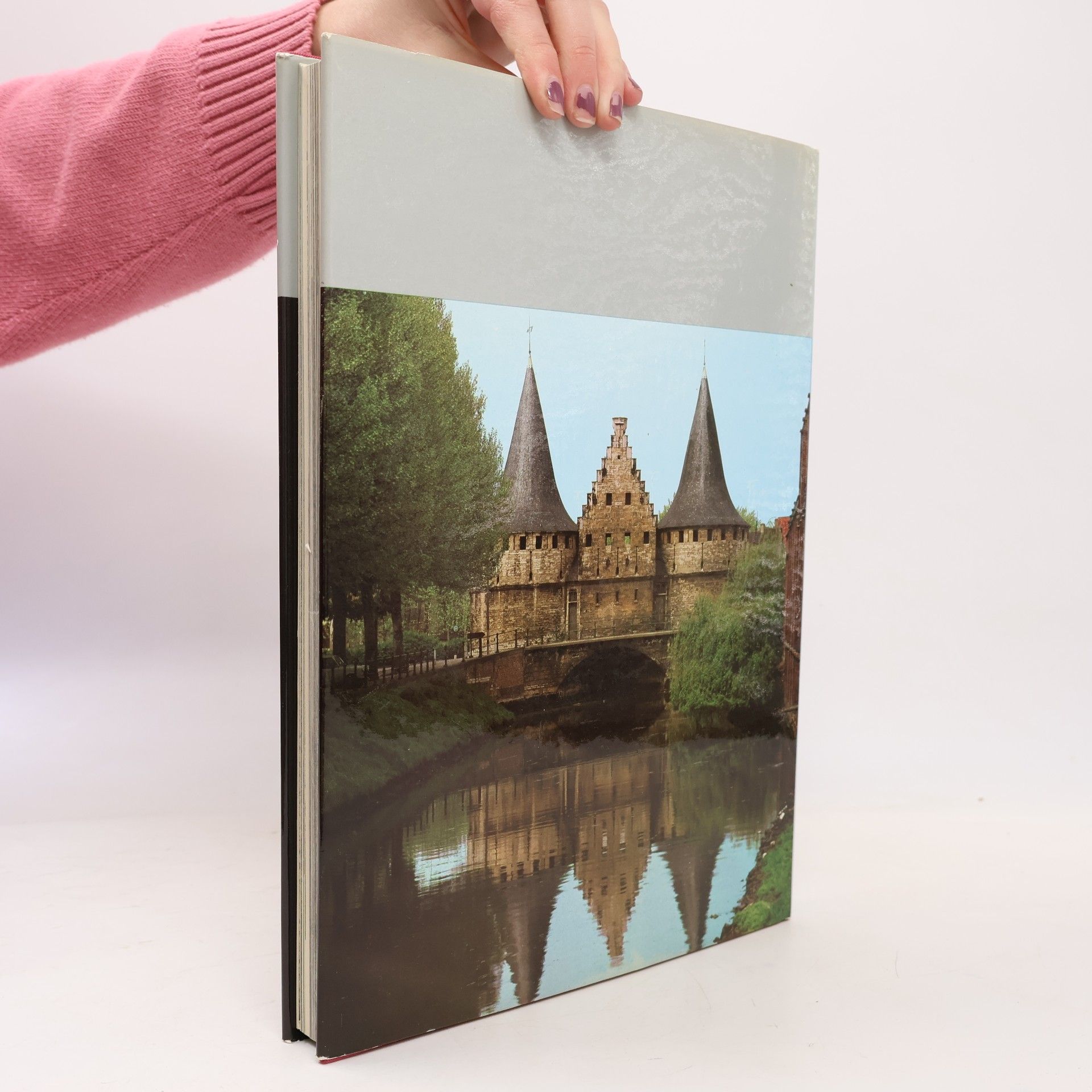 Adelbrecht L. J. van de Van de Walle Gotische Kunst in Belgien