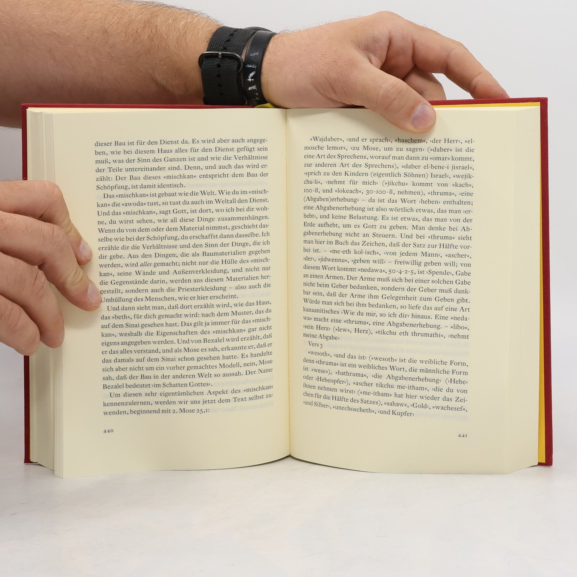 Friedrich Weinreb Das Opfer in der Bibel