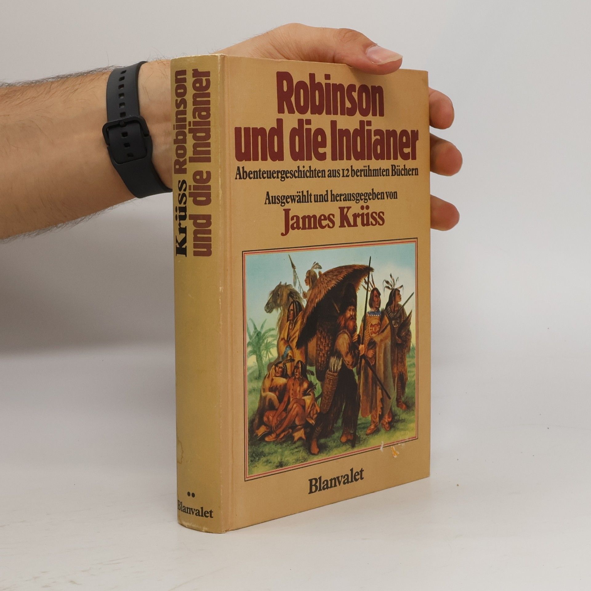 Robinson und die Indianer. Abenteuergeschichten aus 12 berühmten Büchern