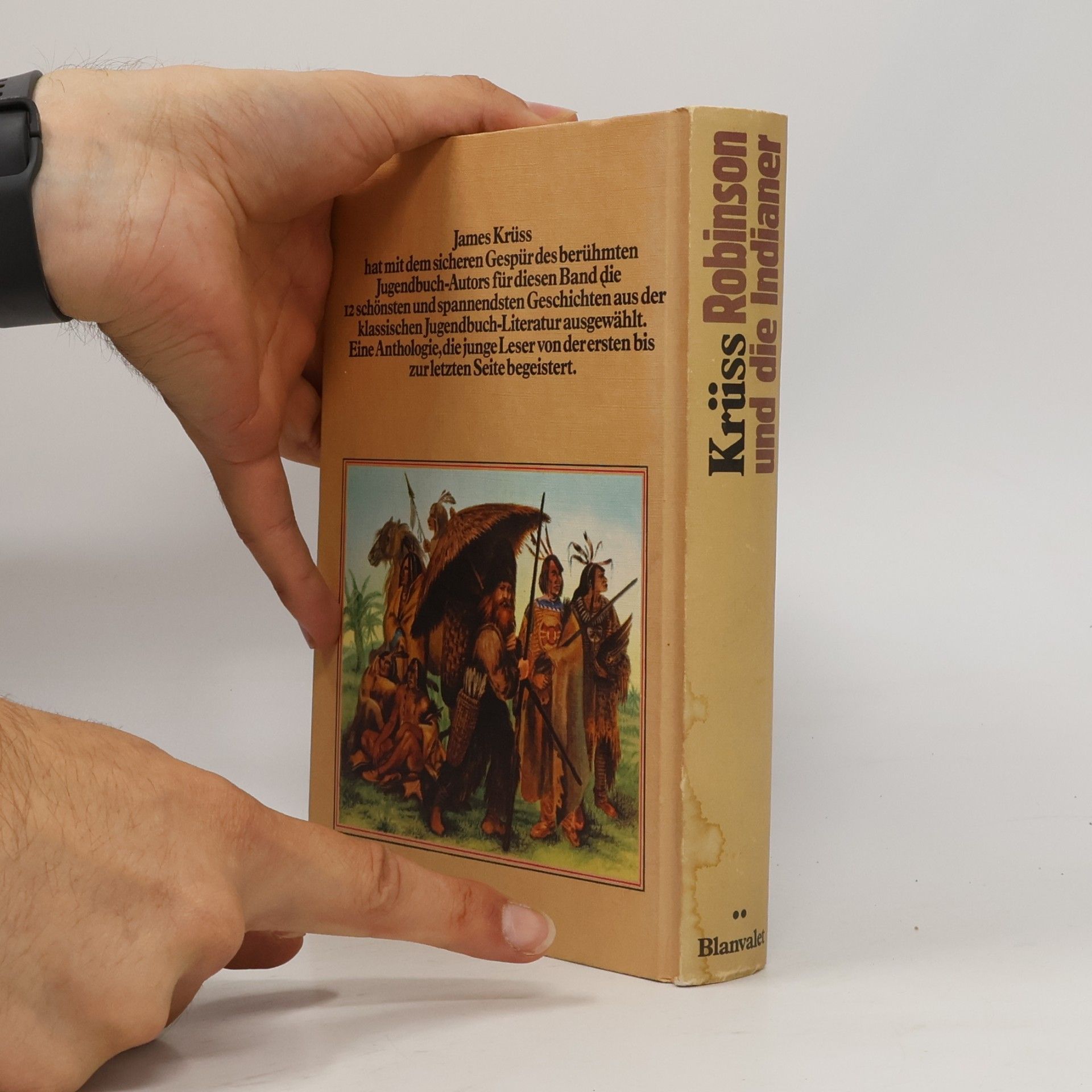 James Krüss Robinson und die Indianer. Abenteuergeschichten aus 12 berühmten Büchern