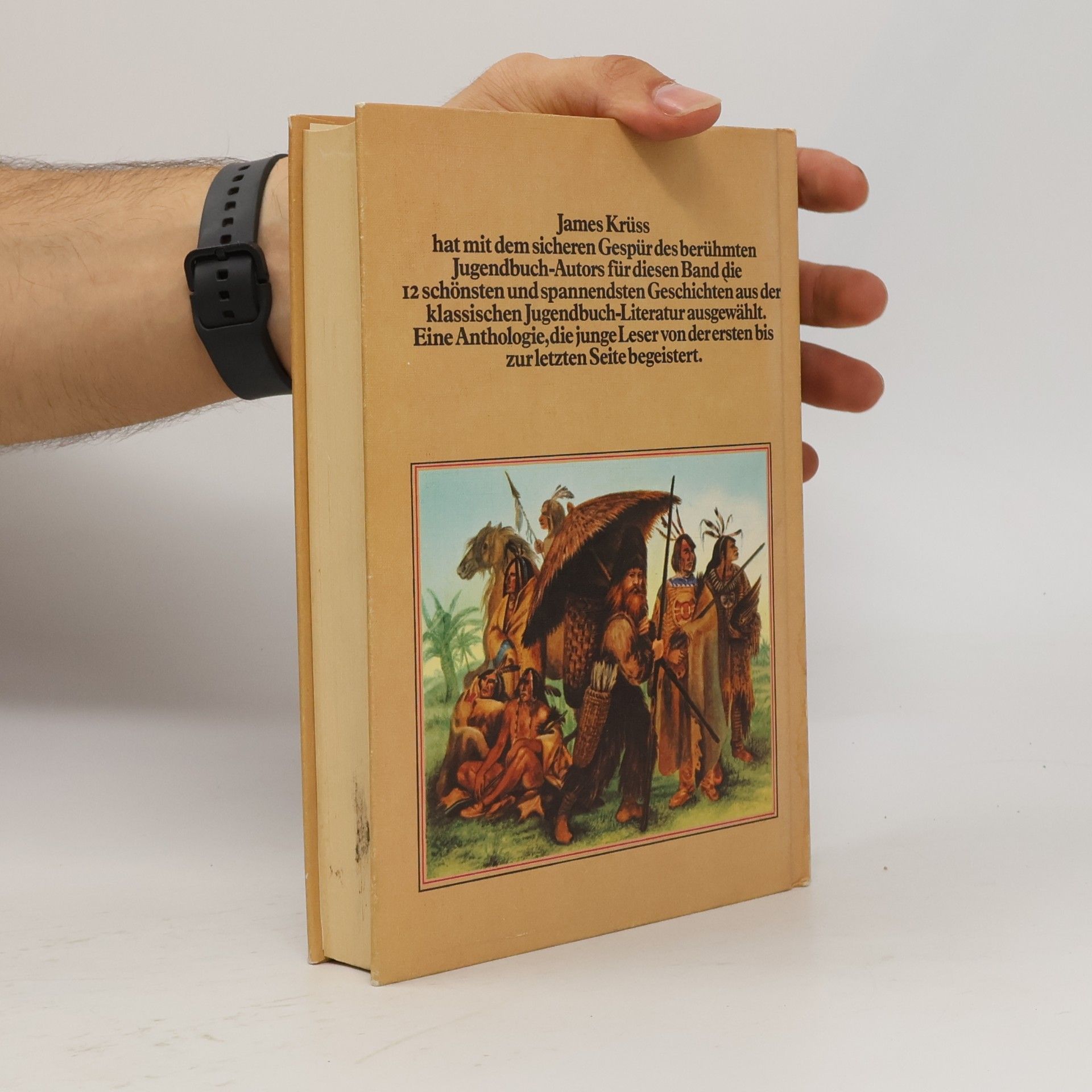 James Krüss Robinson und die Indianer. Abenteuergeschichten aus 12 berühmten Büchern