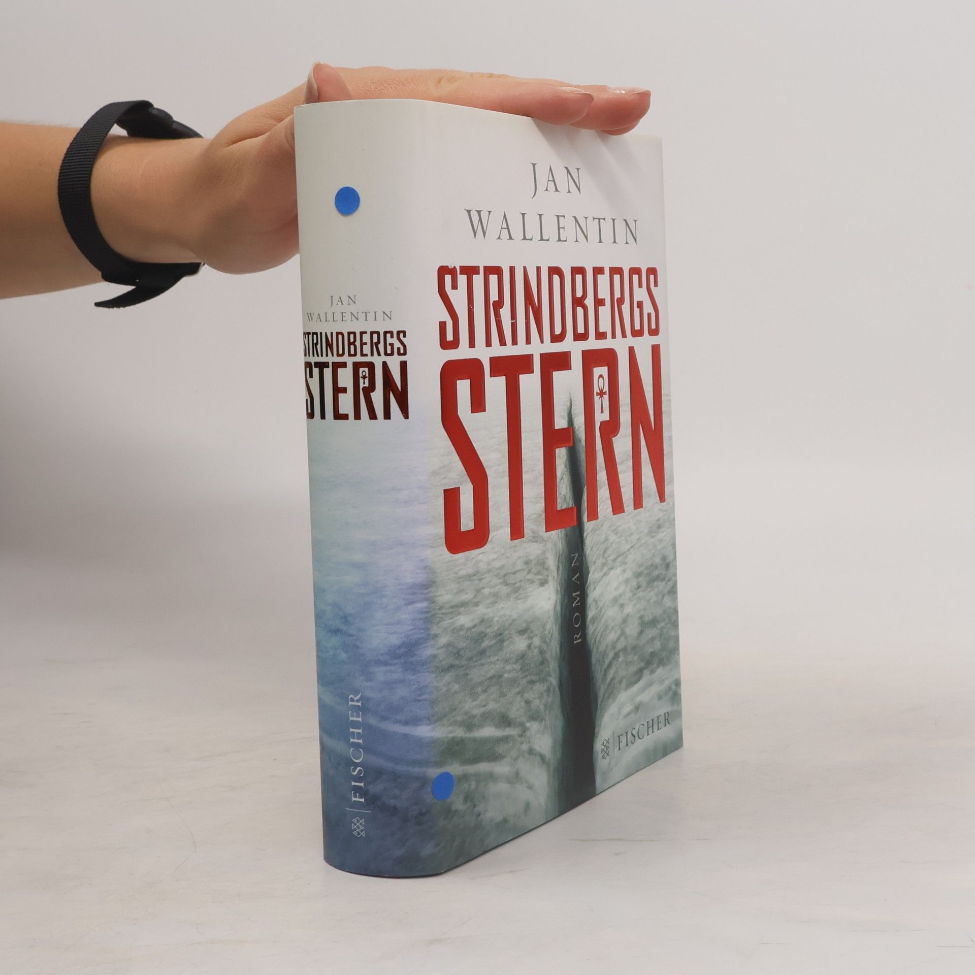 Jan Wallentin Strindbergs Stern