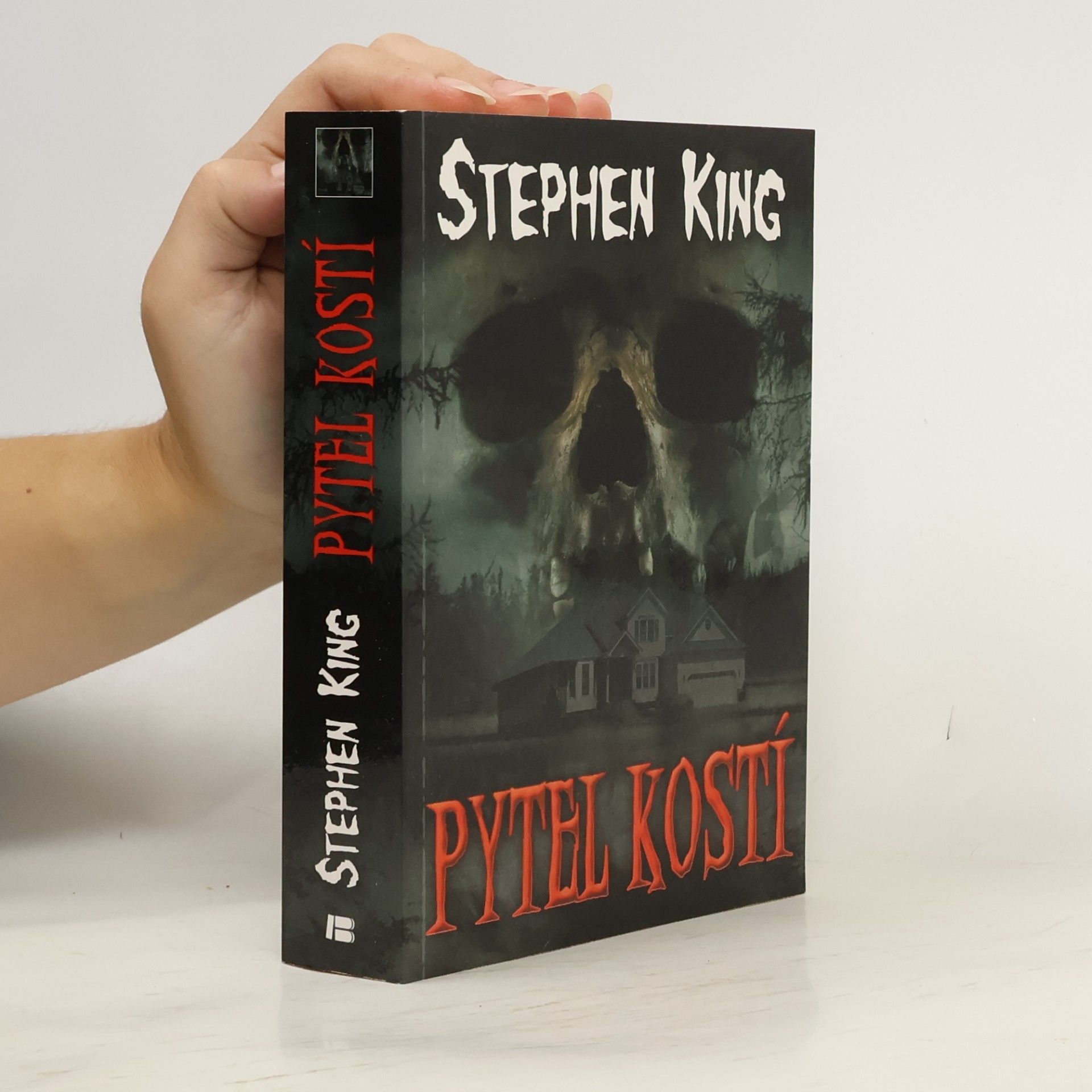 Stephen King Pytel kostí