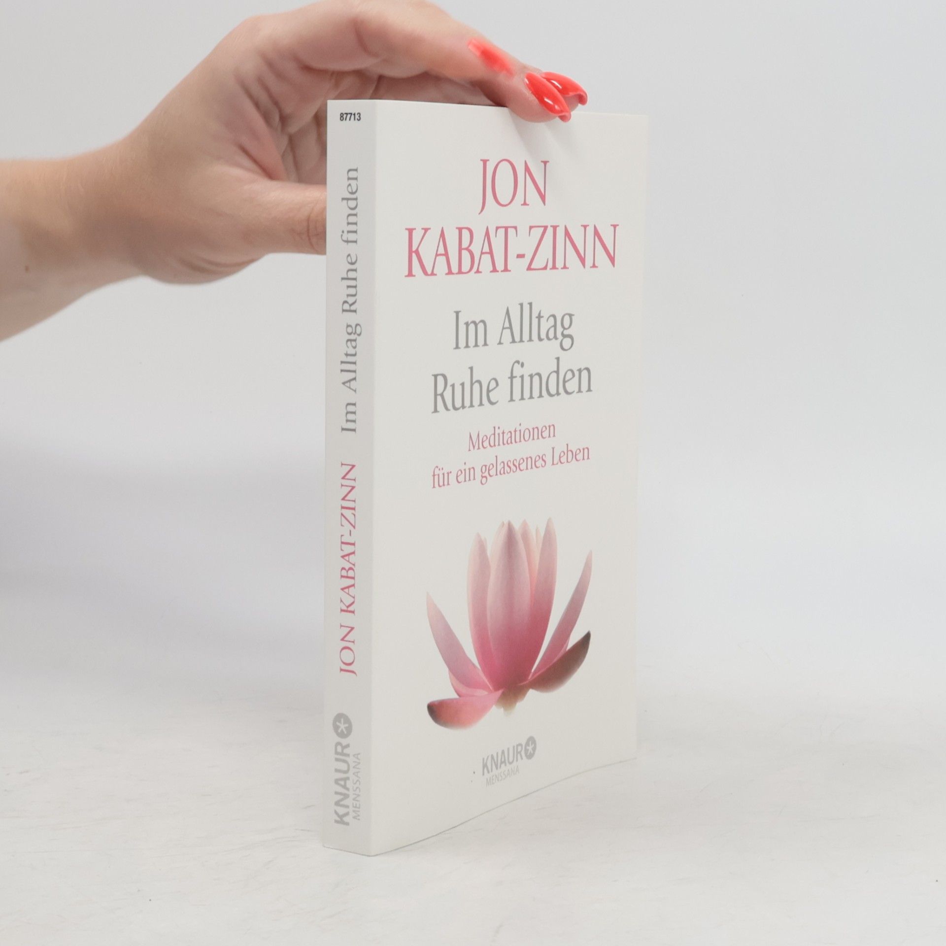 Jon Kabat Zinn Im Alltag Ruhe finden