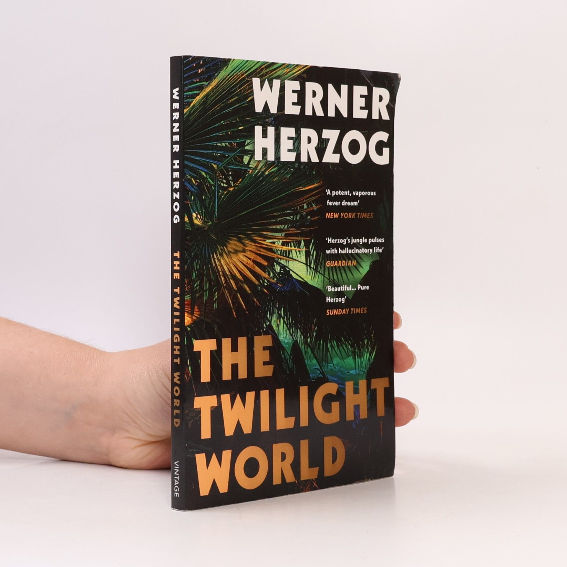The Twilight World