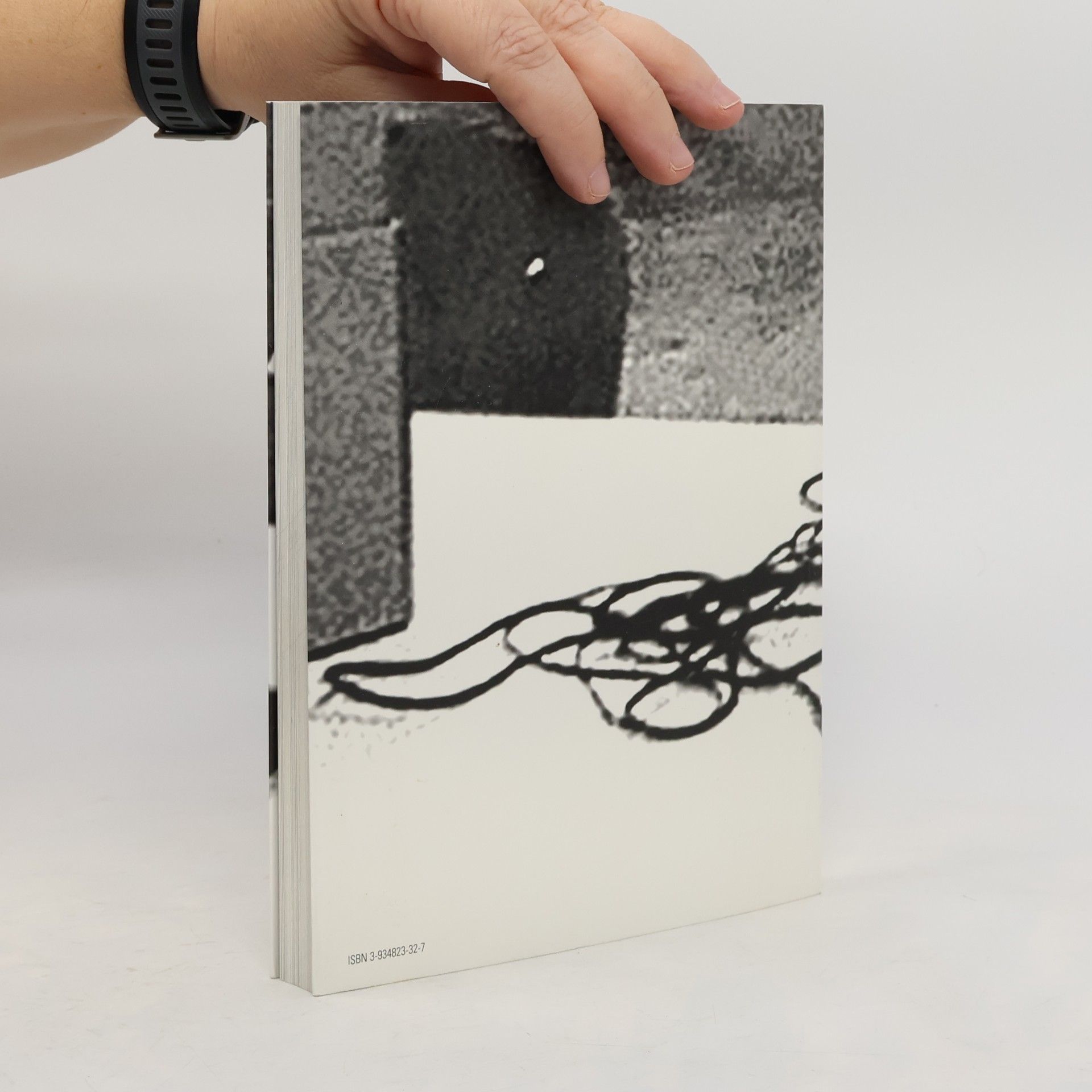 Kathrin Höhne Fictive Talks FFM