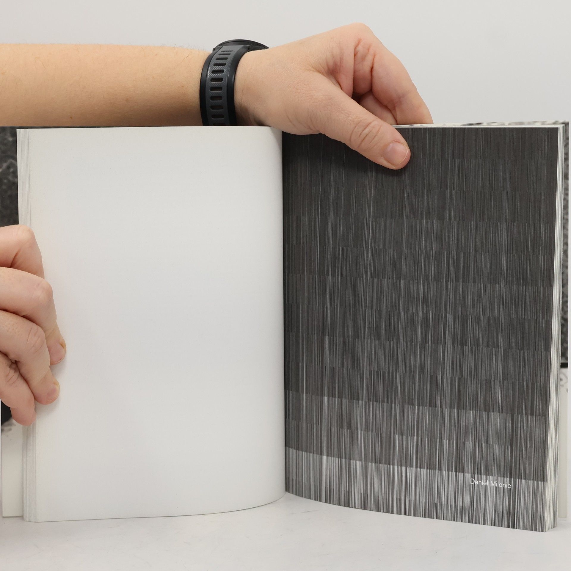 Kathrin Höhne Fictive Talks FFM