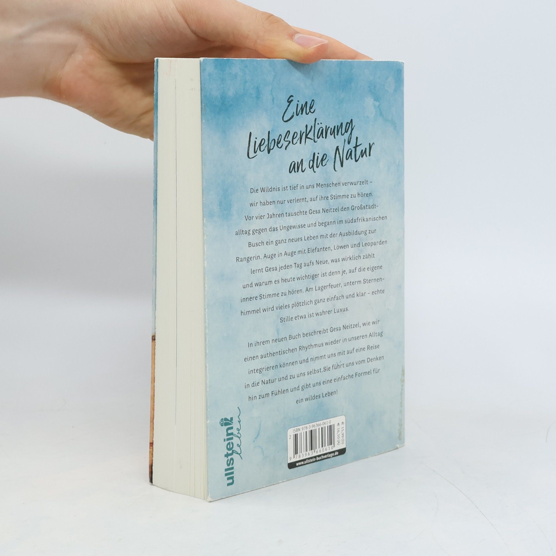 Gesa Neitzel The Wonderful Wild