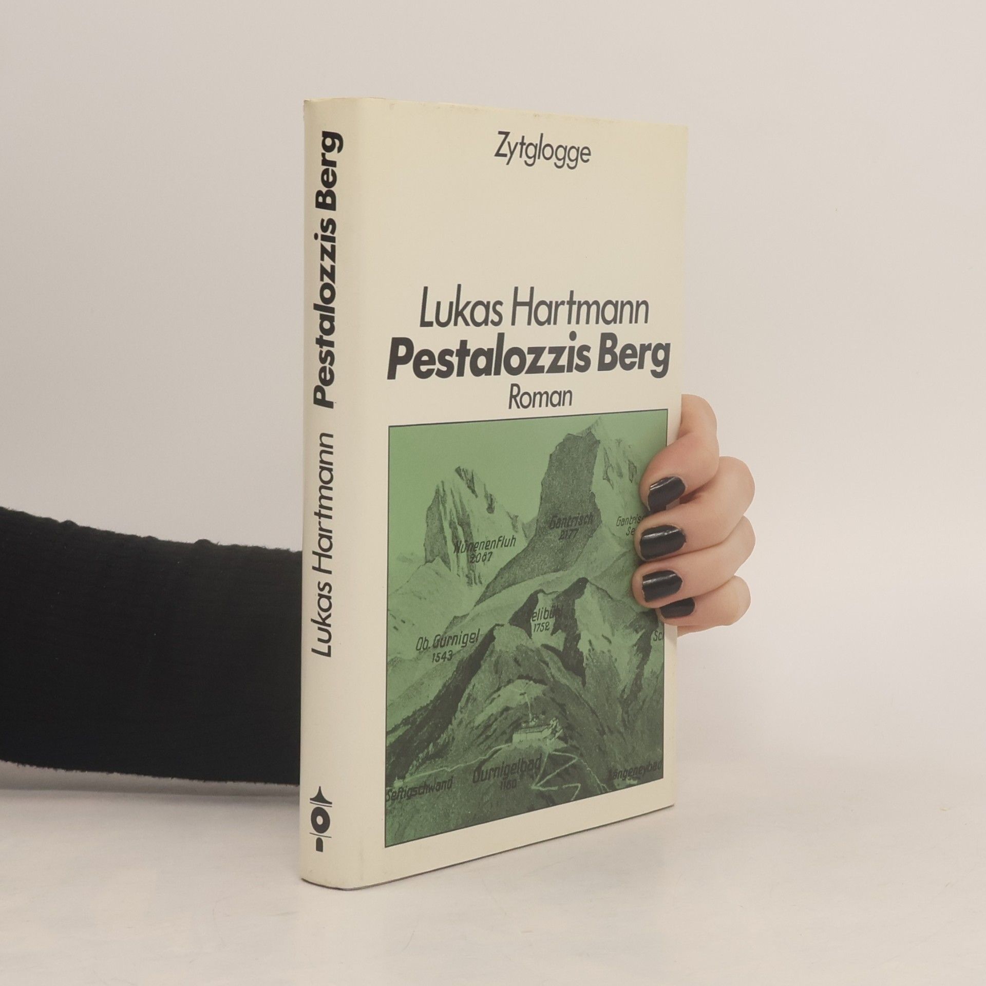 Pestalozzis Berg
