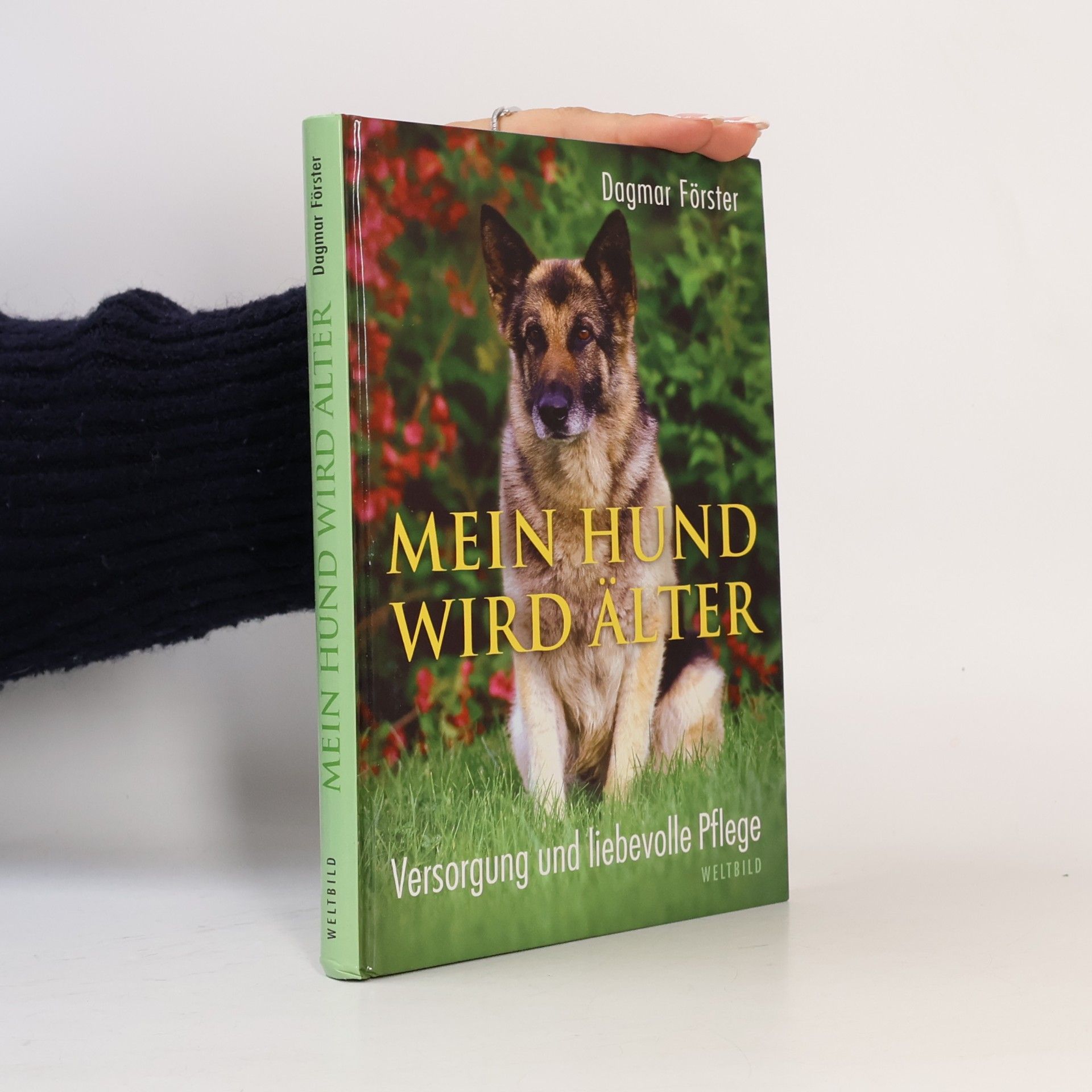 Dagmar Förster Mein Hund wird älter. Versorgung und liebevolle Pflege