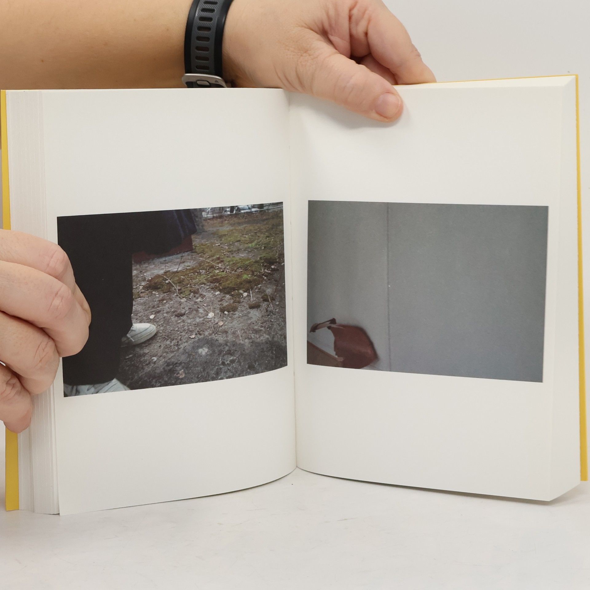Marie Lund Marie Lund: The Falling: Photographs by Frederik Worm