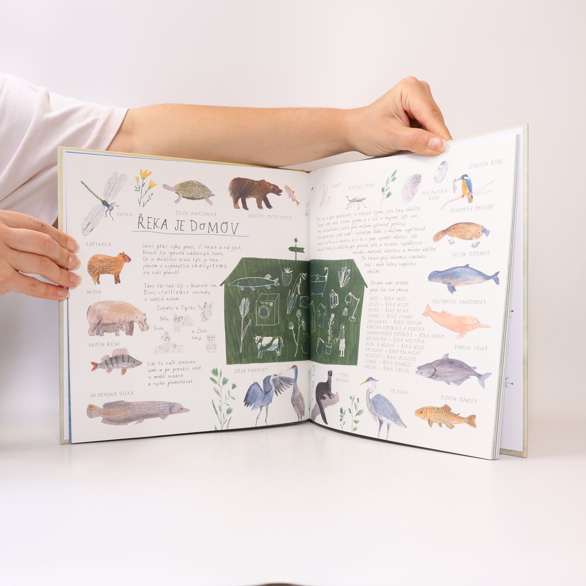 Monika Vaicenavičienė Co je to řeka?