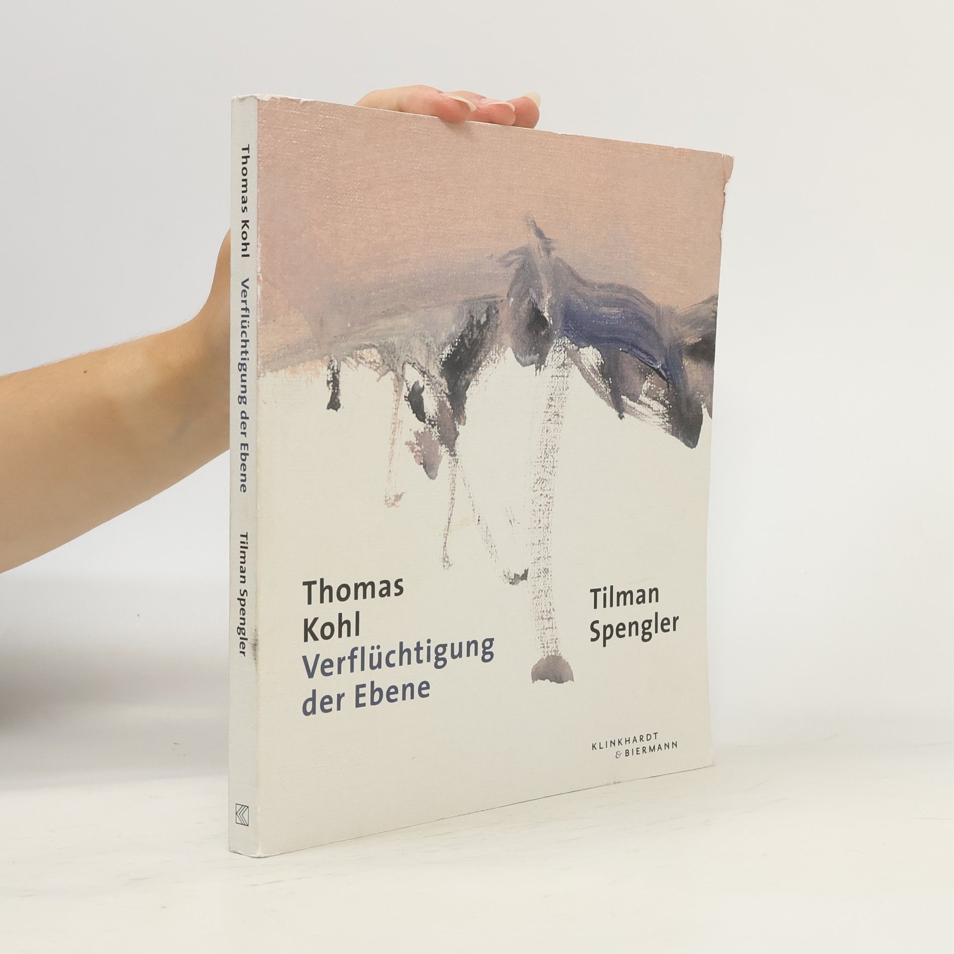 Thomas Kohl Verflüchtigung der Ebene