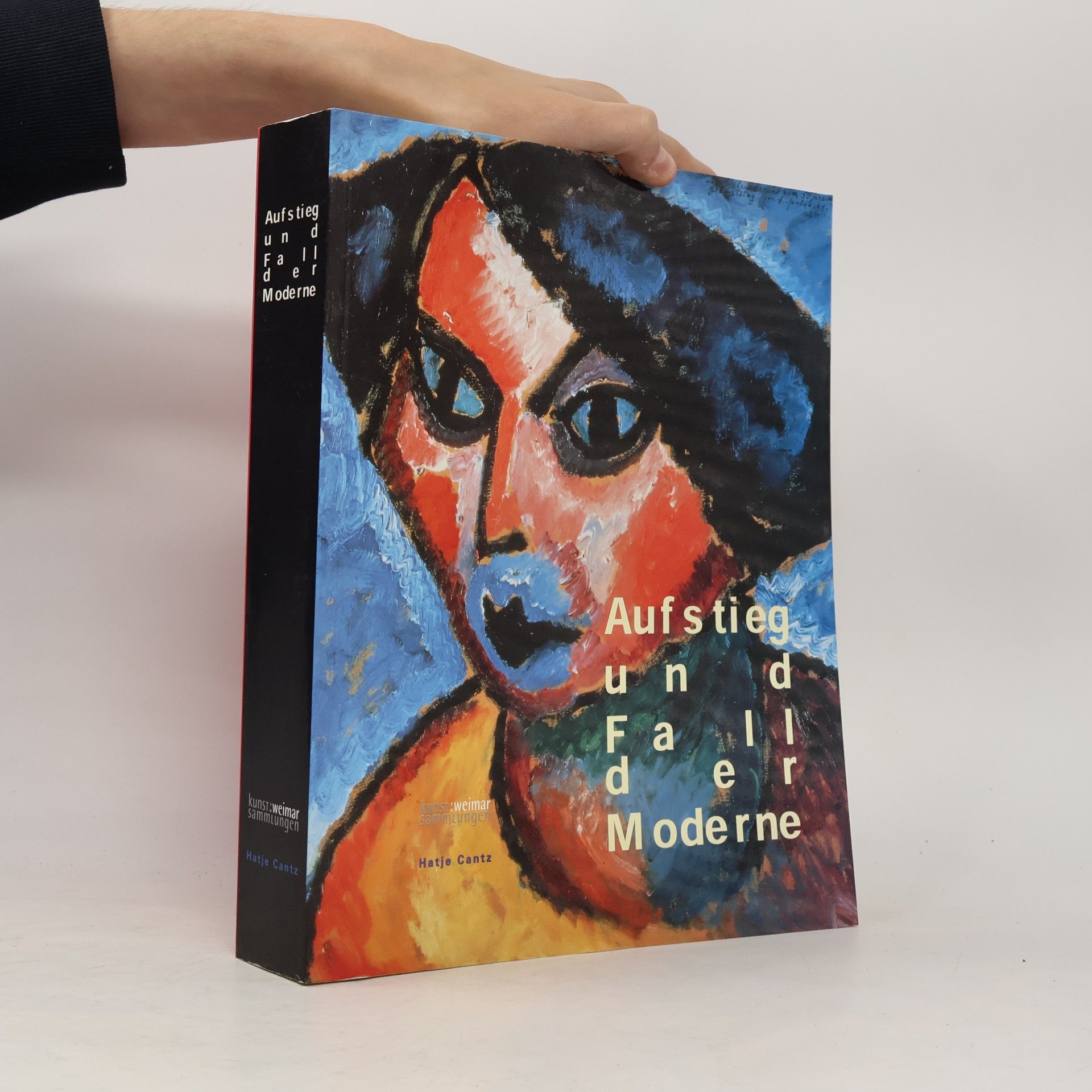 Rolf Bothe Aufstieg und Fall der Moderne