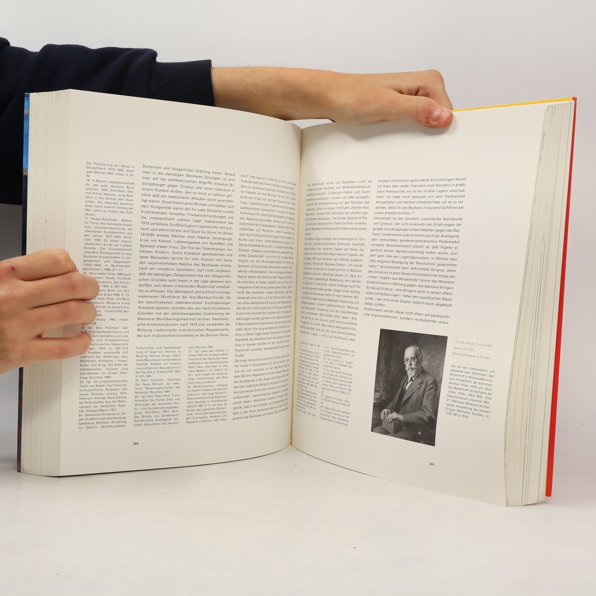 Rolf Bothe Aufstieg und Fall der Moderne