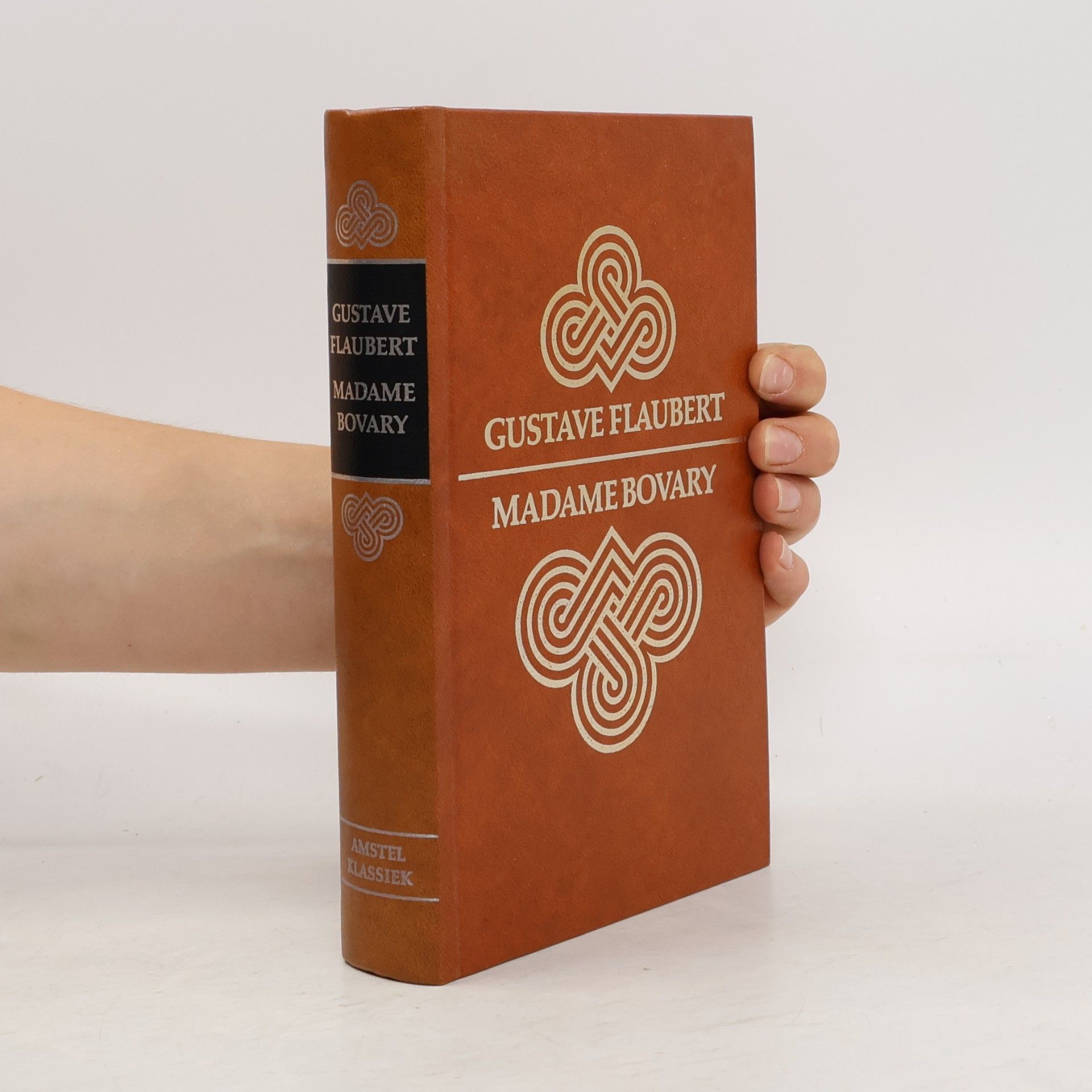 Gustave Flaubert Madame Bovary (Amstel-klassieken)