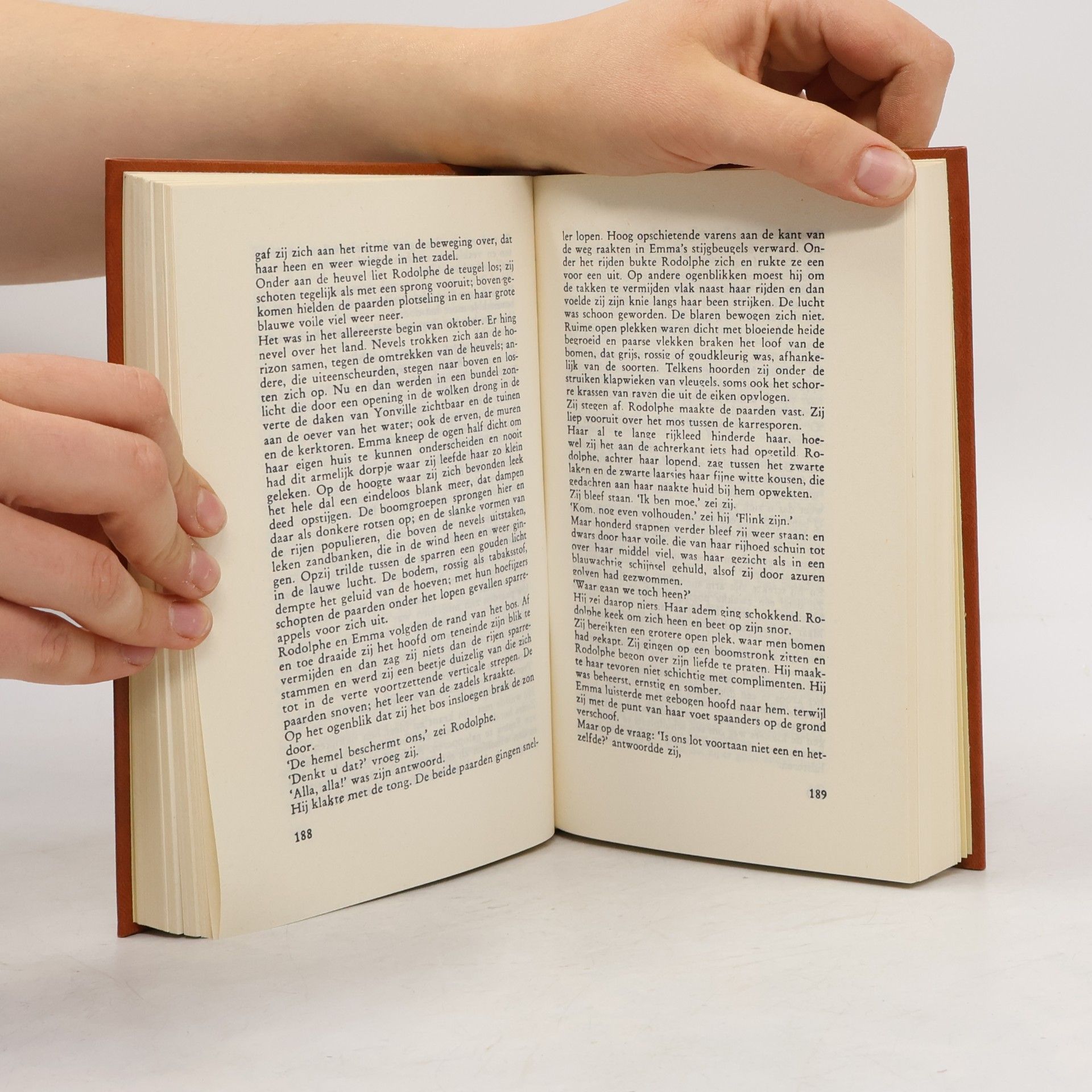 Gustave Flaubert Madame Bovary (Amstel-klassieken)