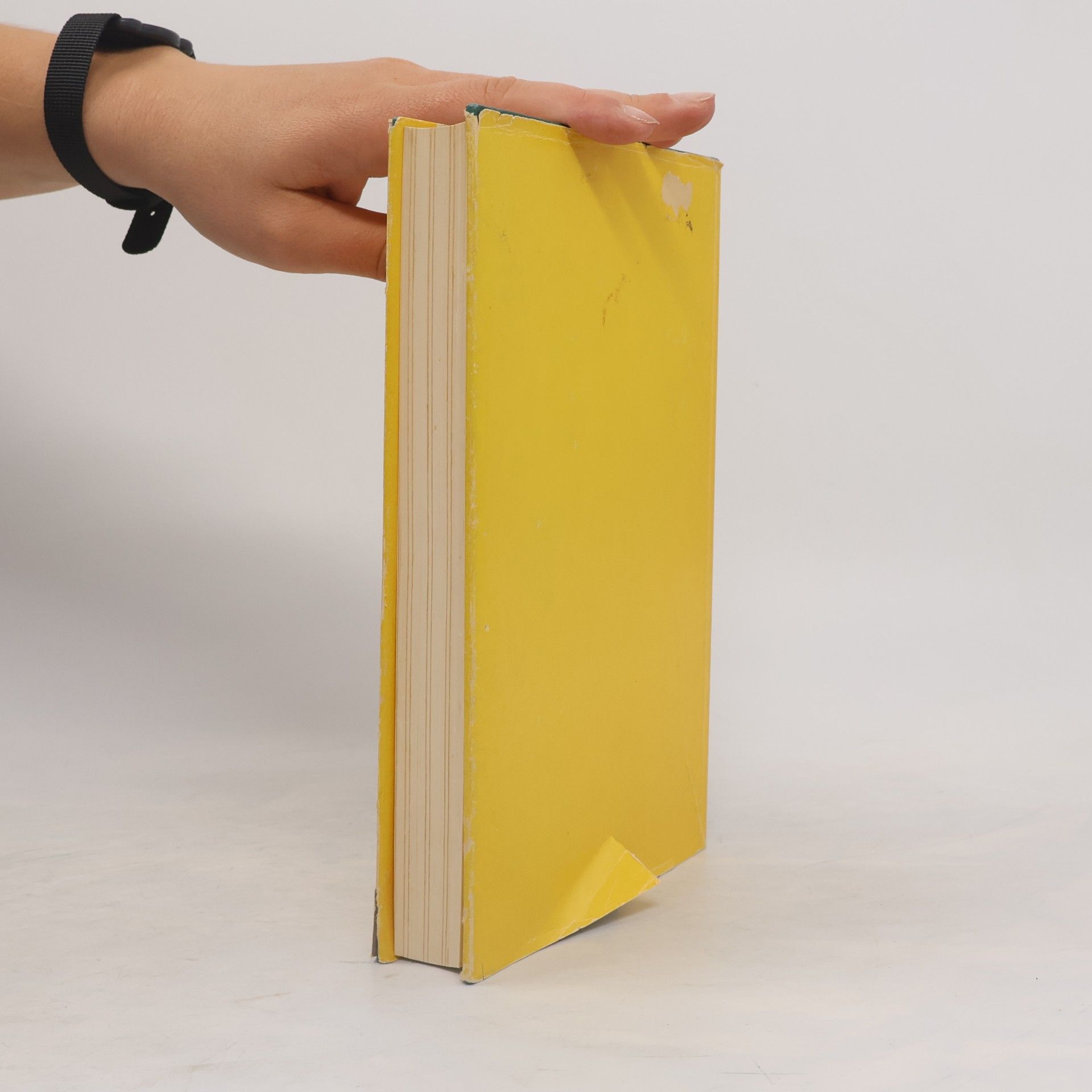 Ming Wong Handbuch der chinesischen Pflanzenheilkunde