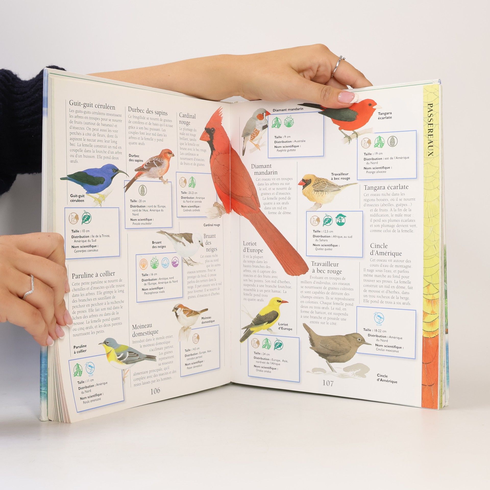 Jinny Johnson Larousse Junior des Animaux