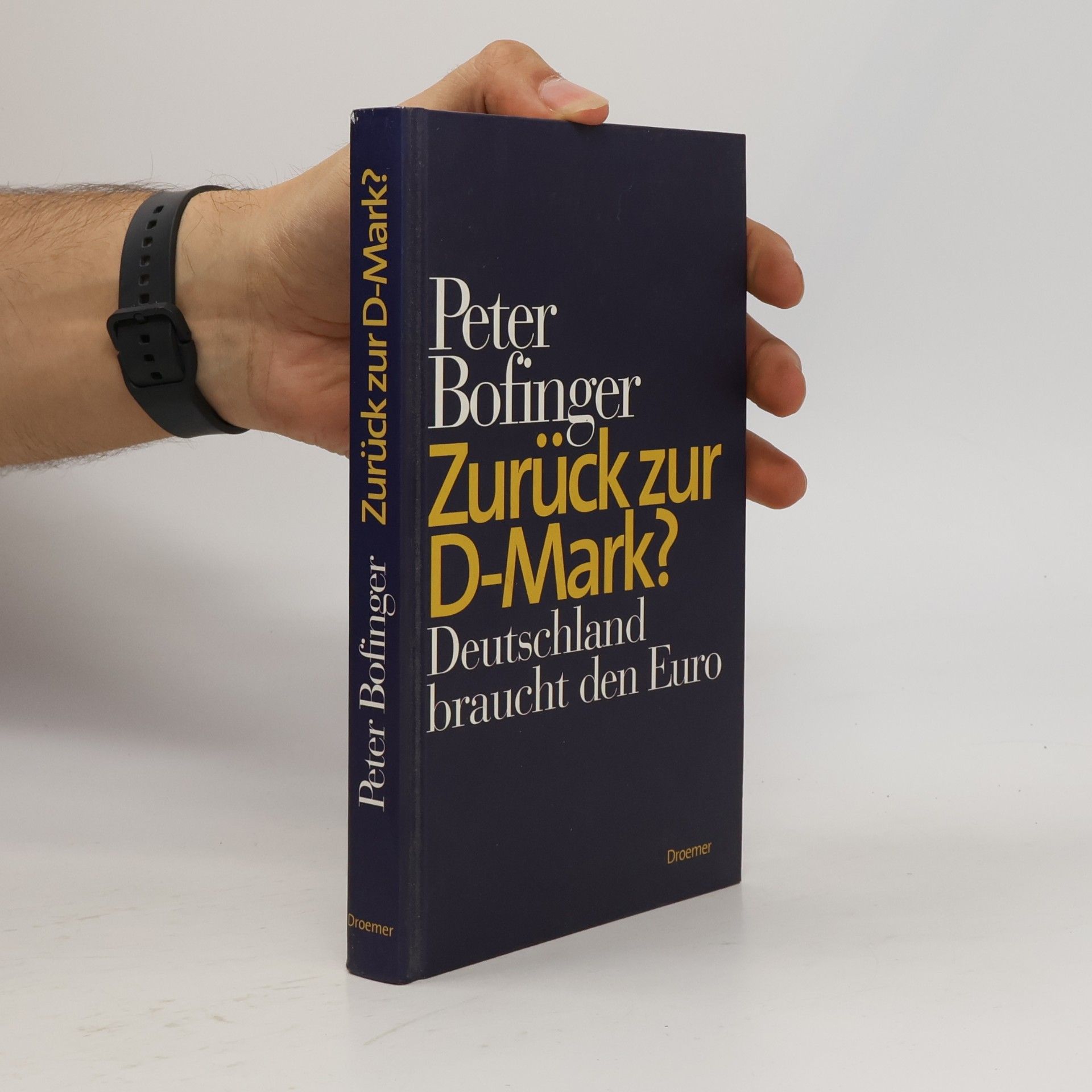Peter Bofinger Zurück zur D-Mark?