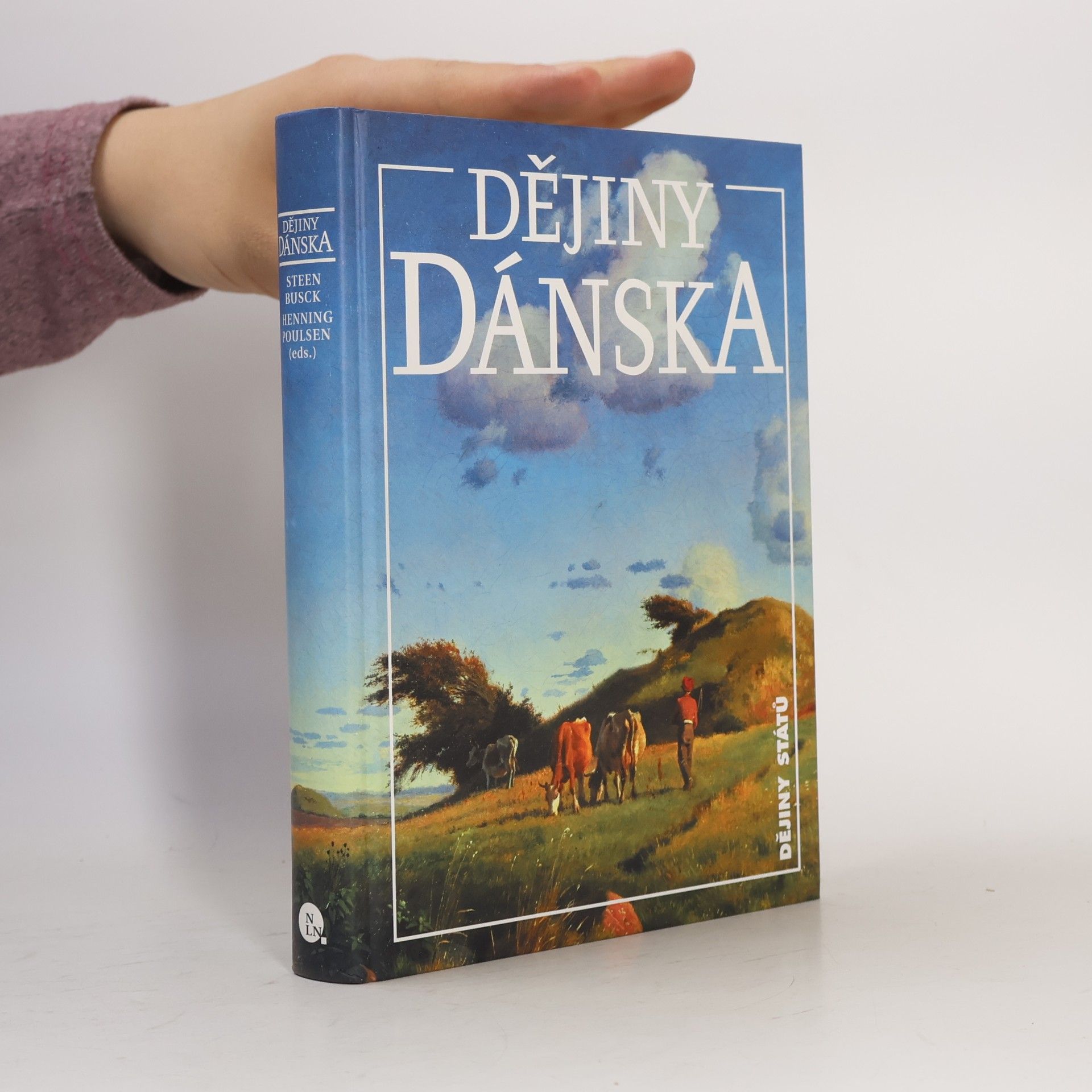 Steen Busck Dějiny Dánska