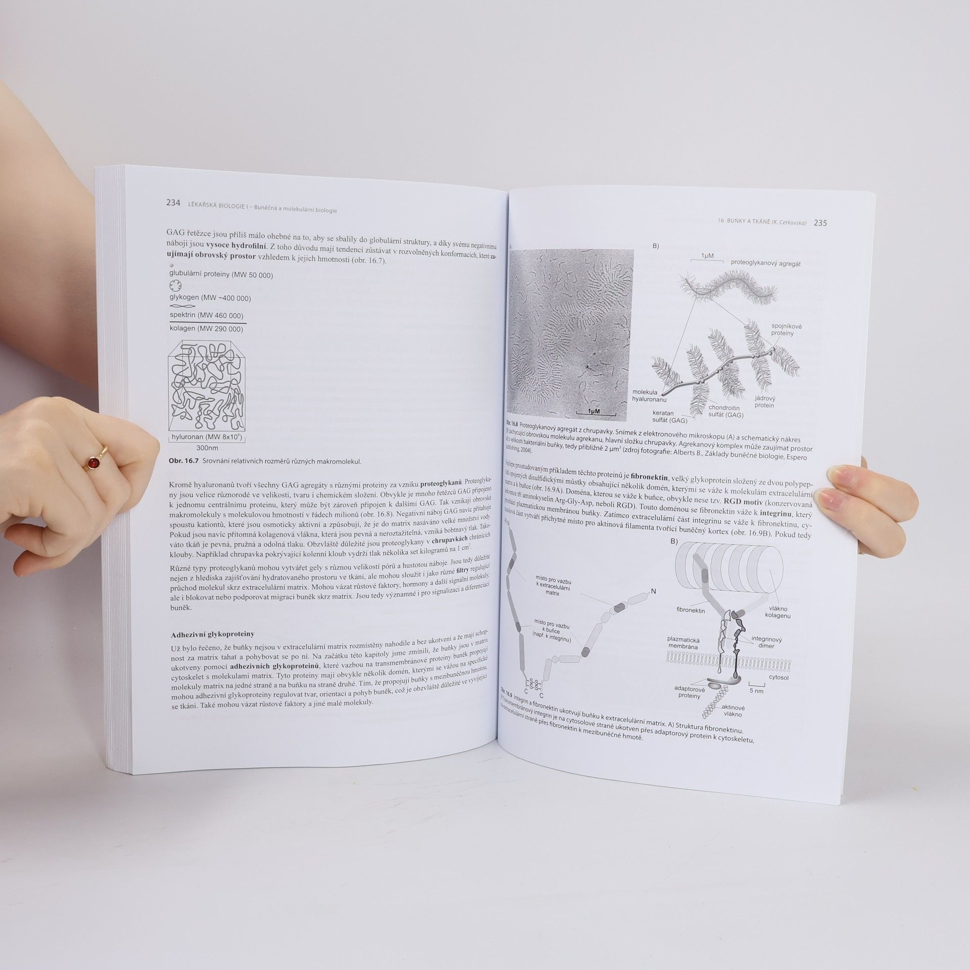 Ondrej Slaby Lékařská biologie. I., bunečná a molekulární biologie