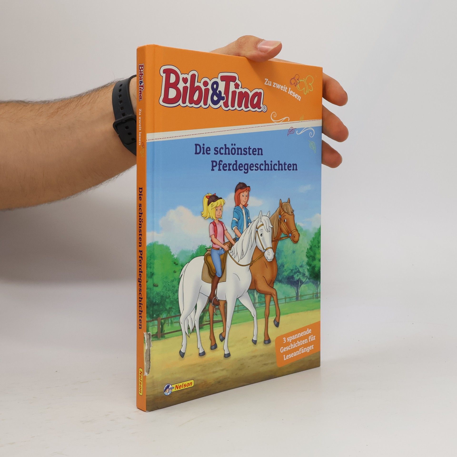 Autorenkollektiv Bibi und Tina: Die schönsten Pferdegeschichten