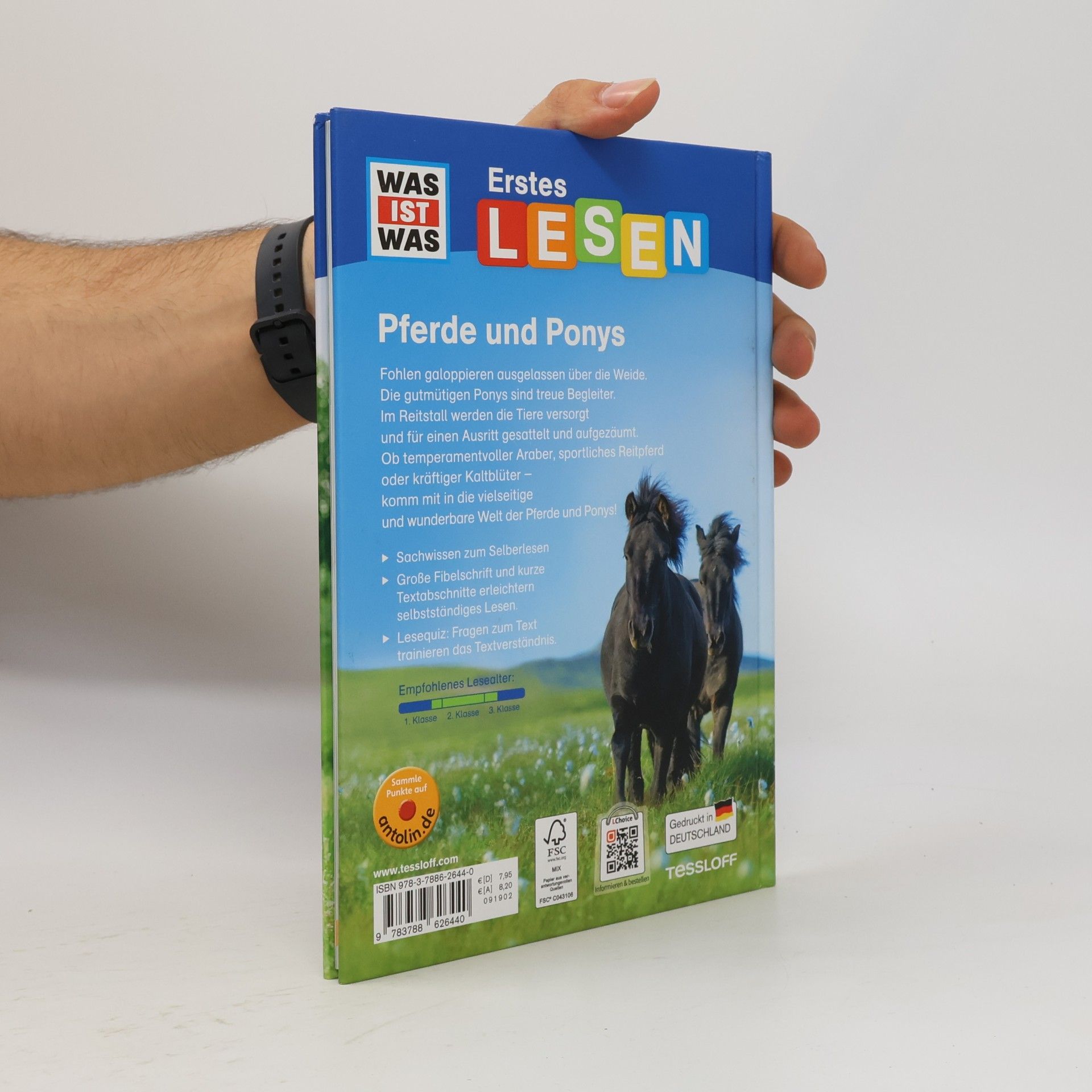 Christina Braun Pferde und Ponys