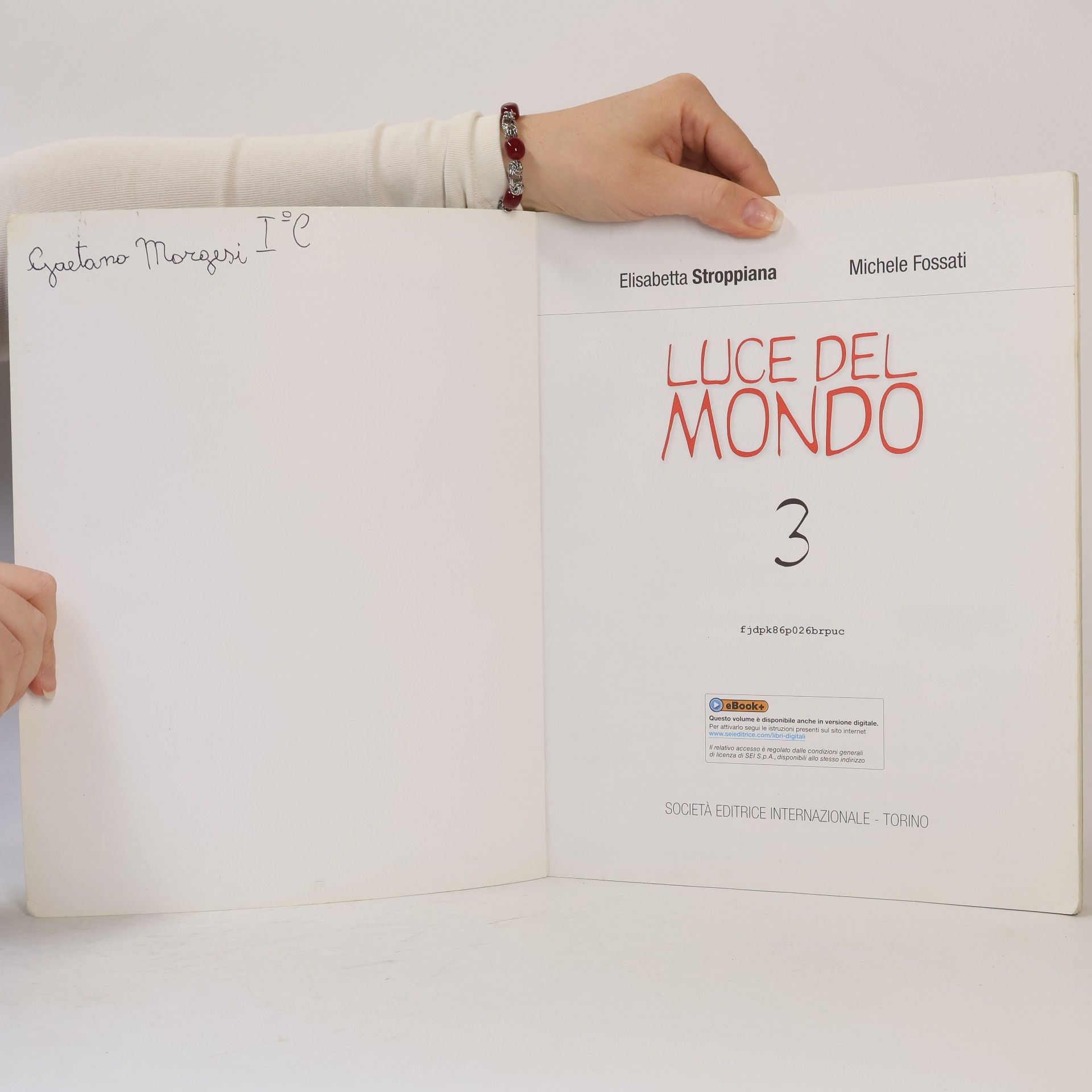 Elisabetta Stroppiana Luce del mondo