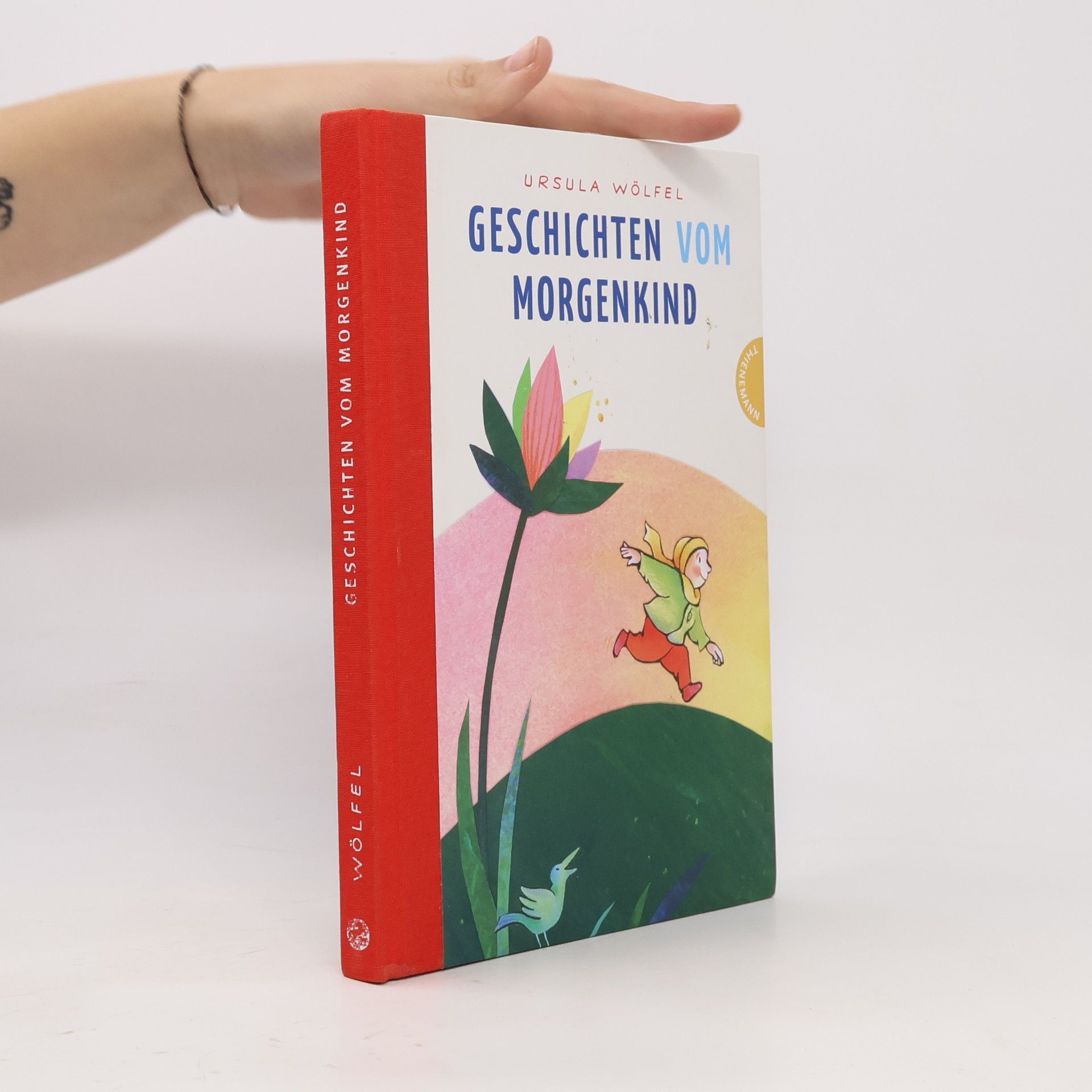 Geschichten vom Morgenkind