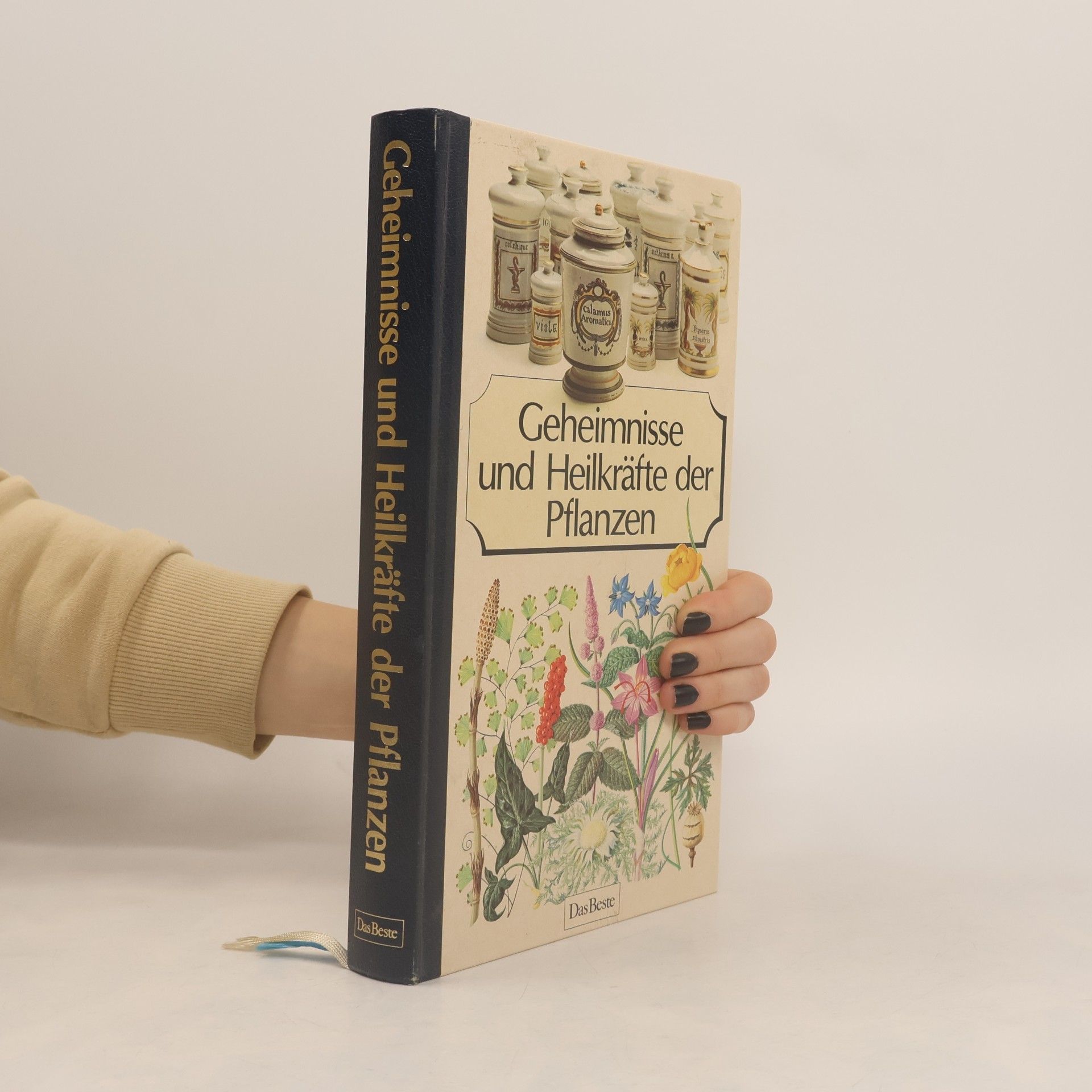 Abbé René Schweitzer Geheimnisse und Heilkräfte der Pflanzen