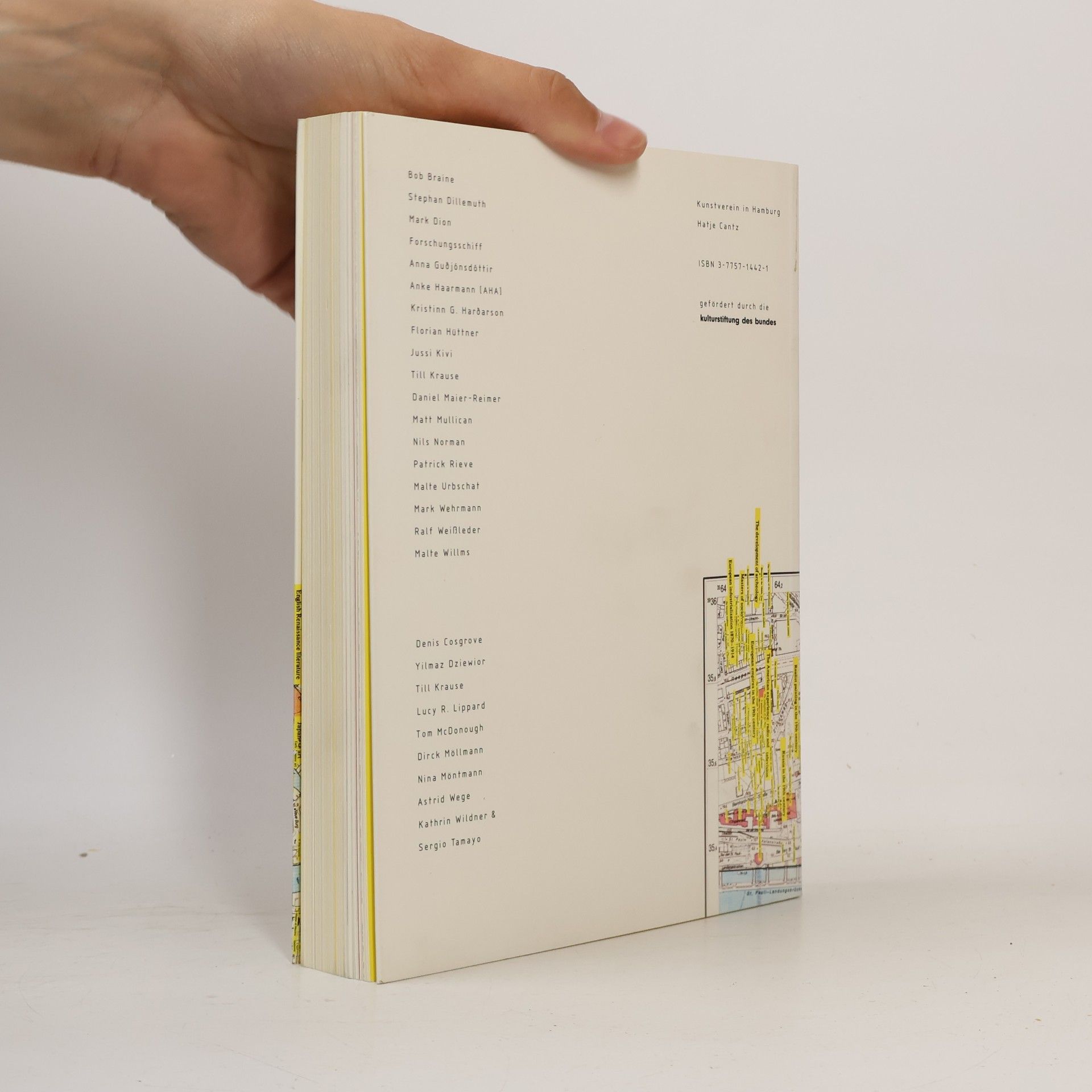 Nina Möntmann Mapping a City