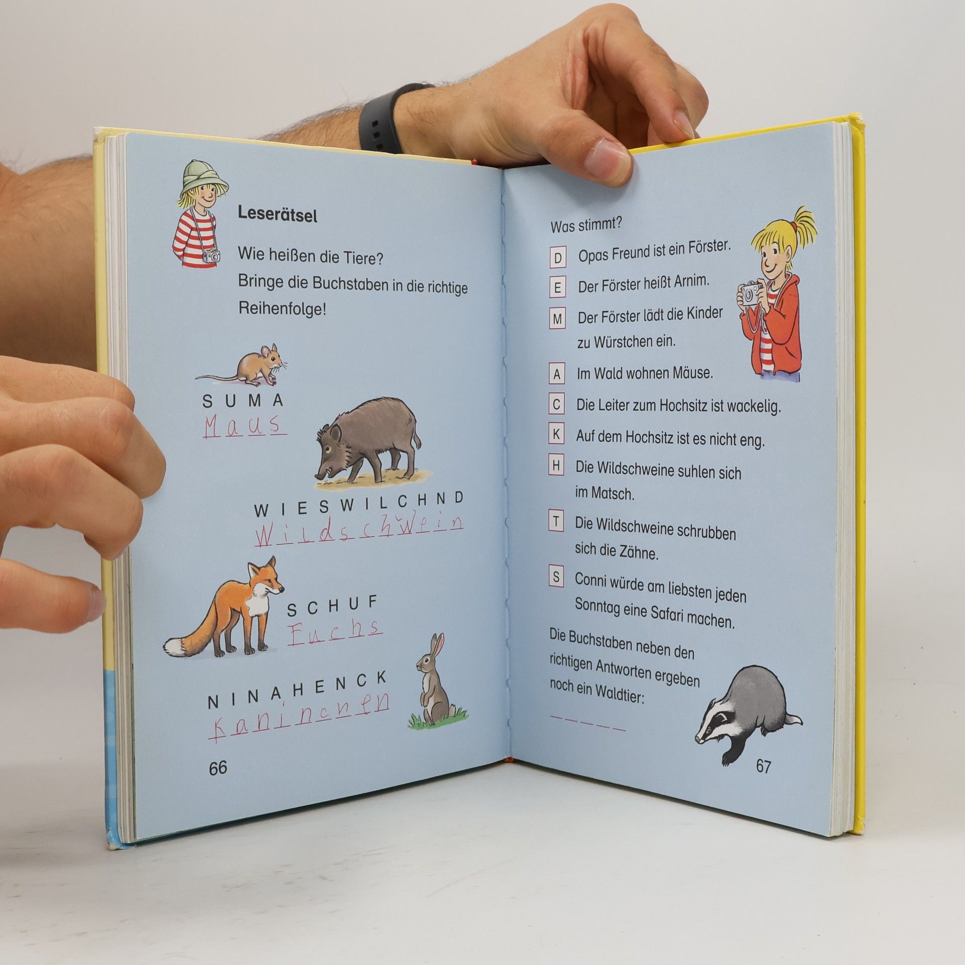 Julia Boehme Das große Conni-Buch zum Lesenlernen