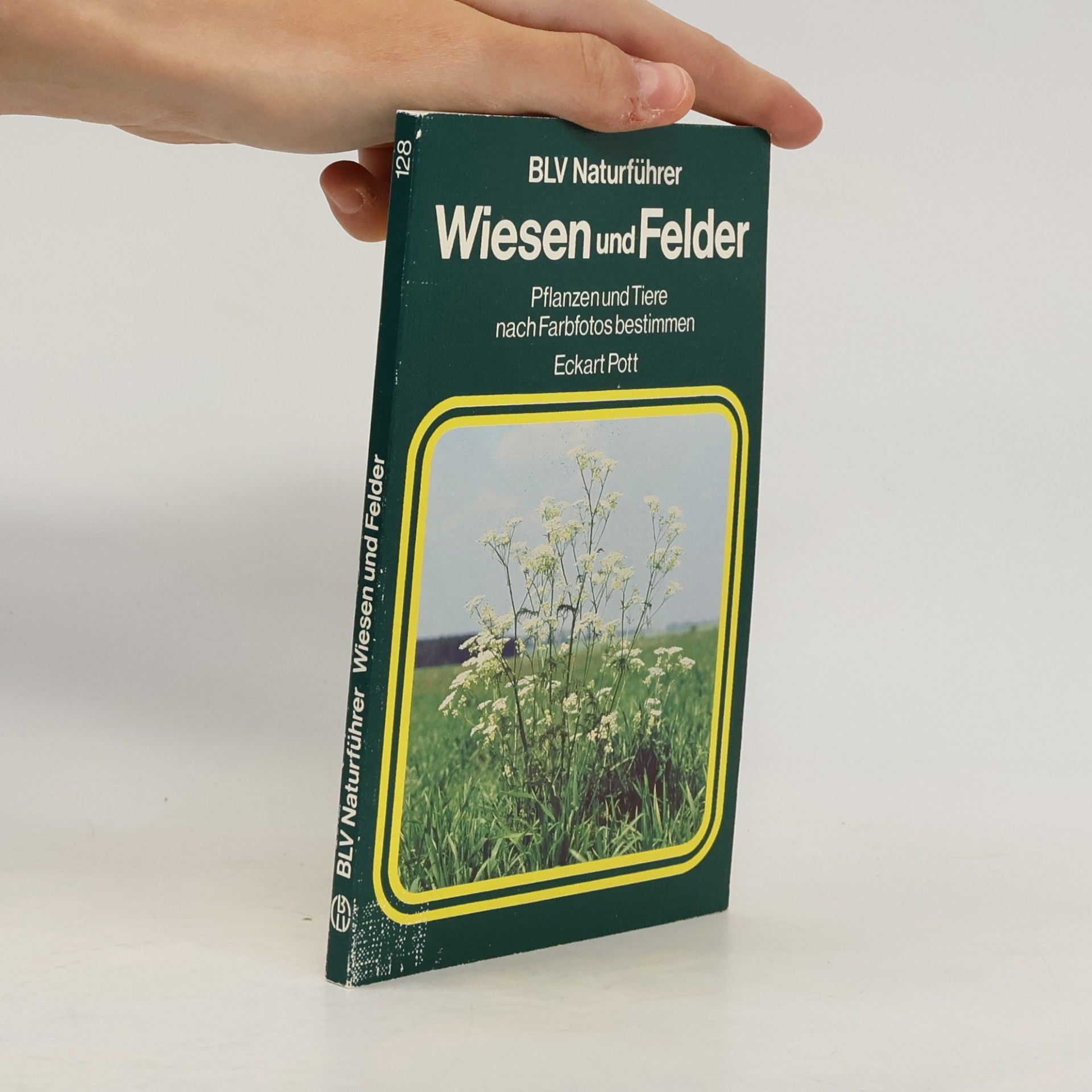 Wiesen und Felder