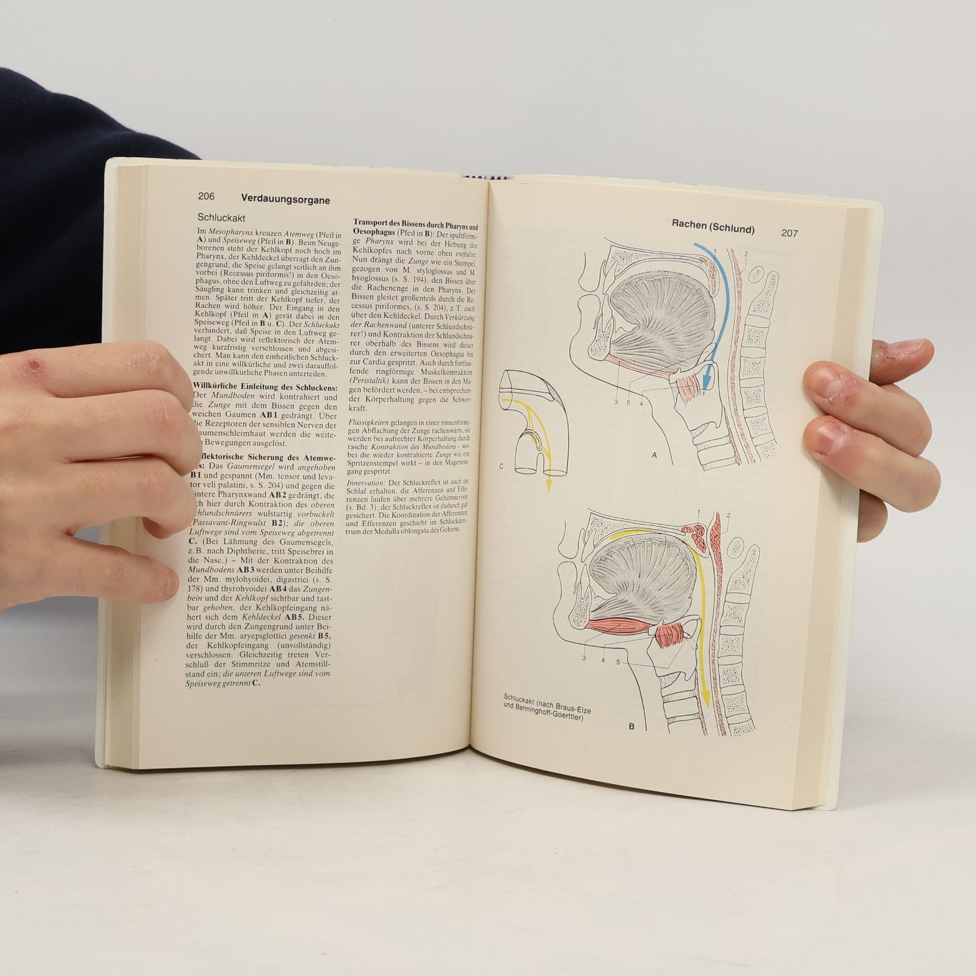 W. Werner Kahle Taschenatlas der Anatomie - 2: Innere Organe