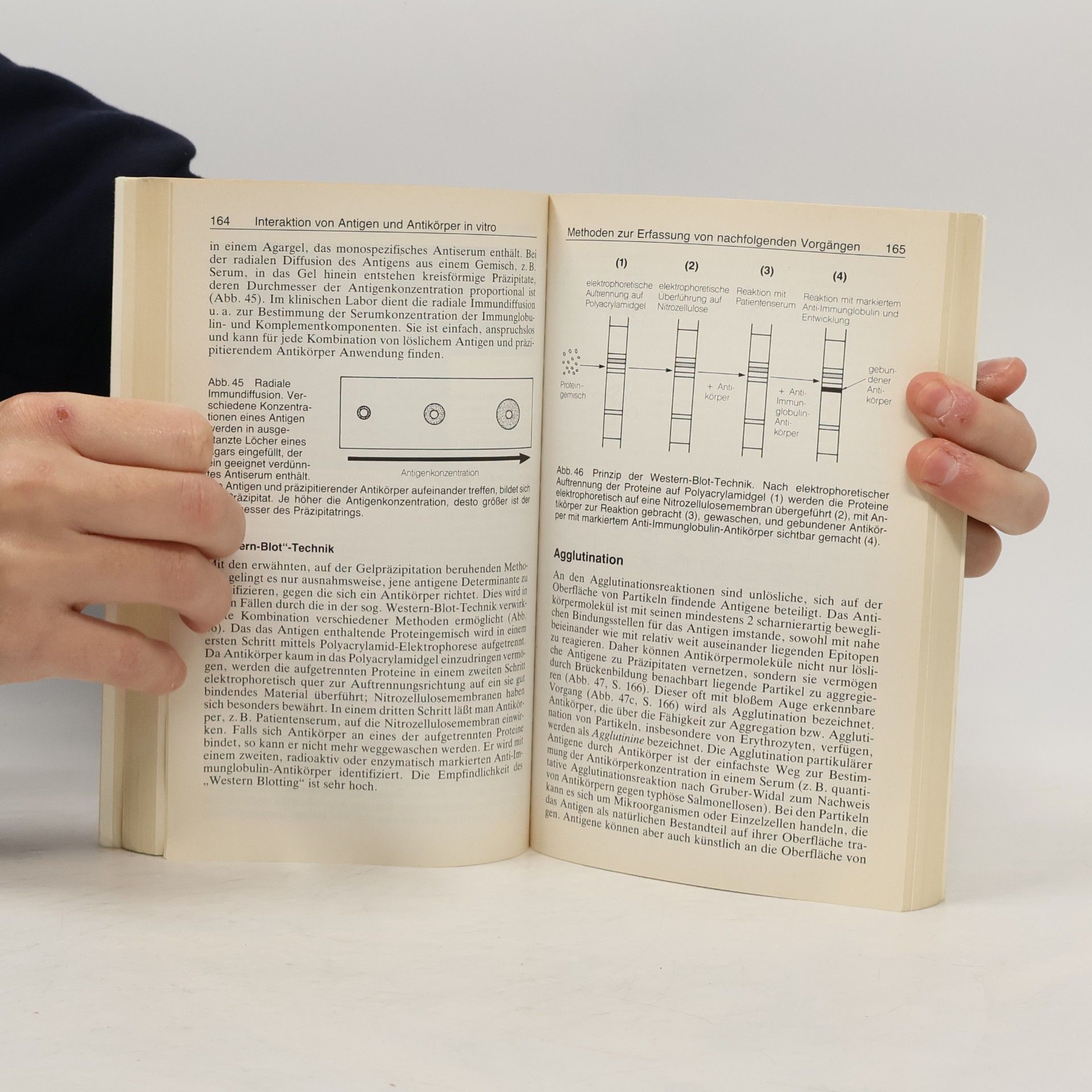 Robert Keller Immunologie und Immunpathologie