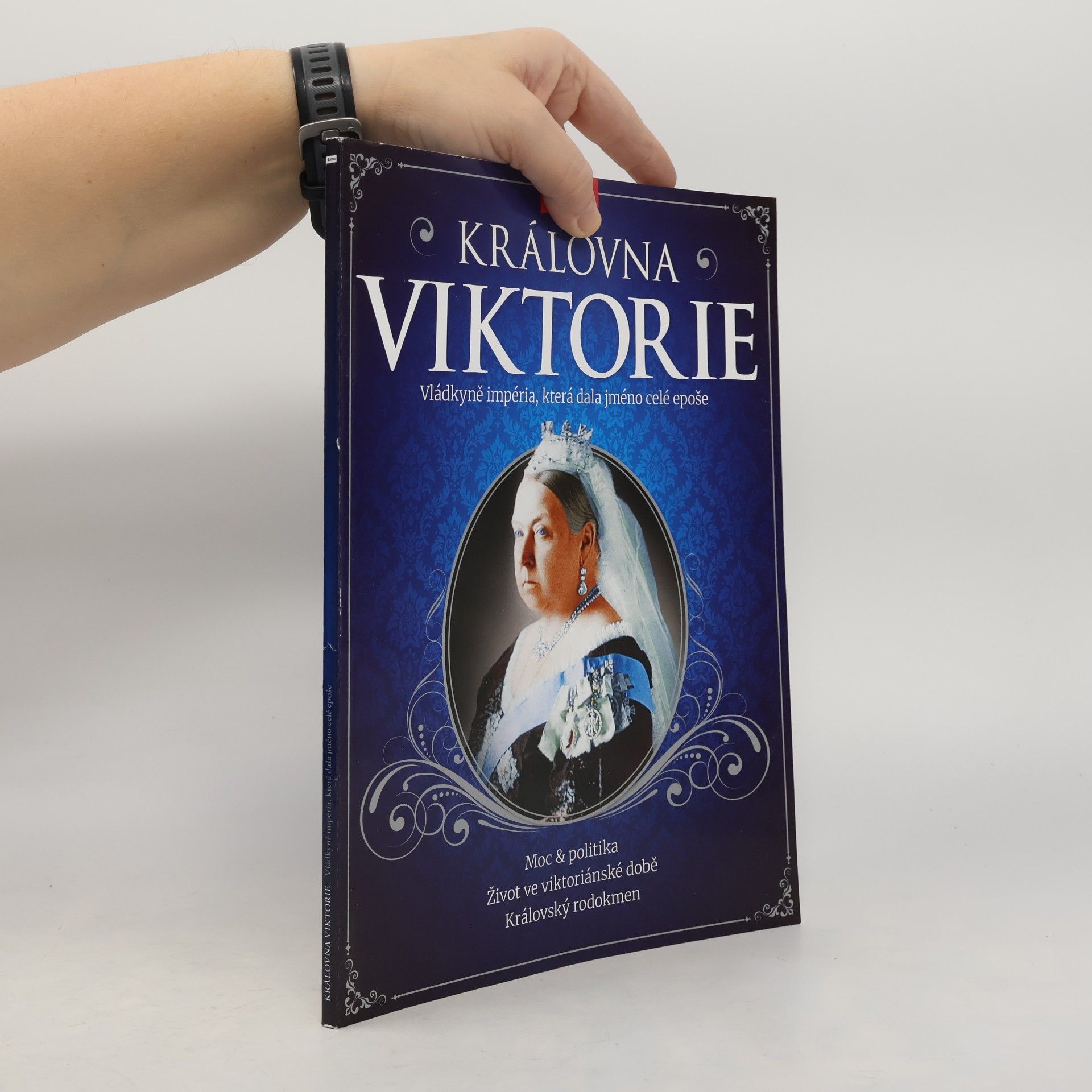 Kolektiv autorů Královna Viktorie - Vládkyně impéria, která dala jméno celé epoše