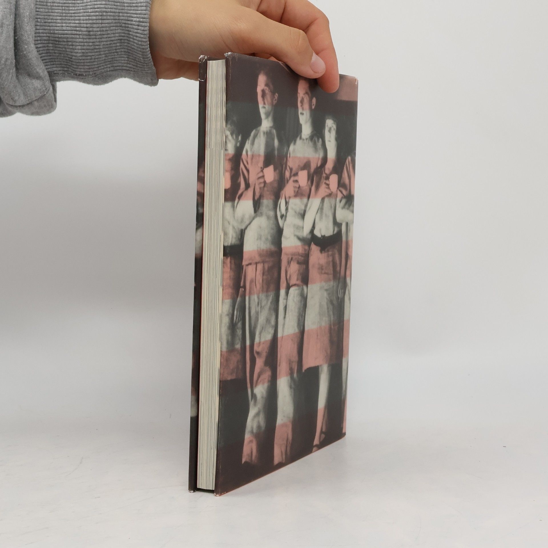 Lutz Schöbe Die Sammlung / Stiftung Bauhaus Dessau