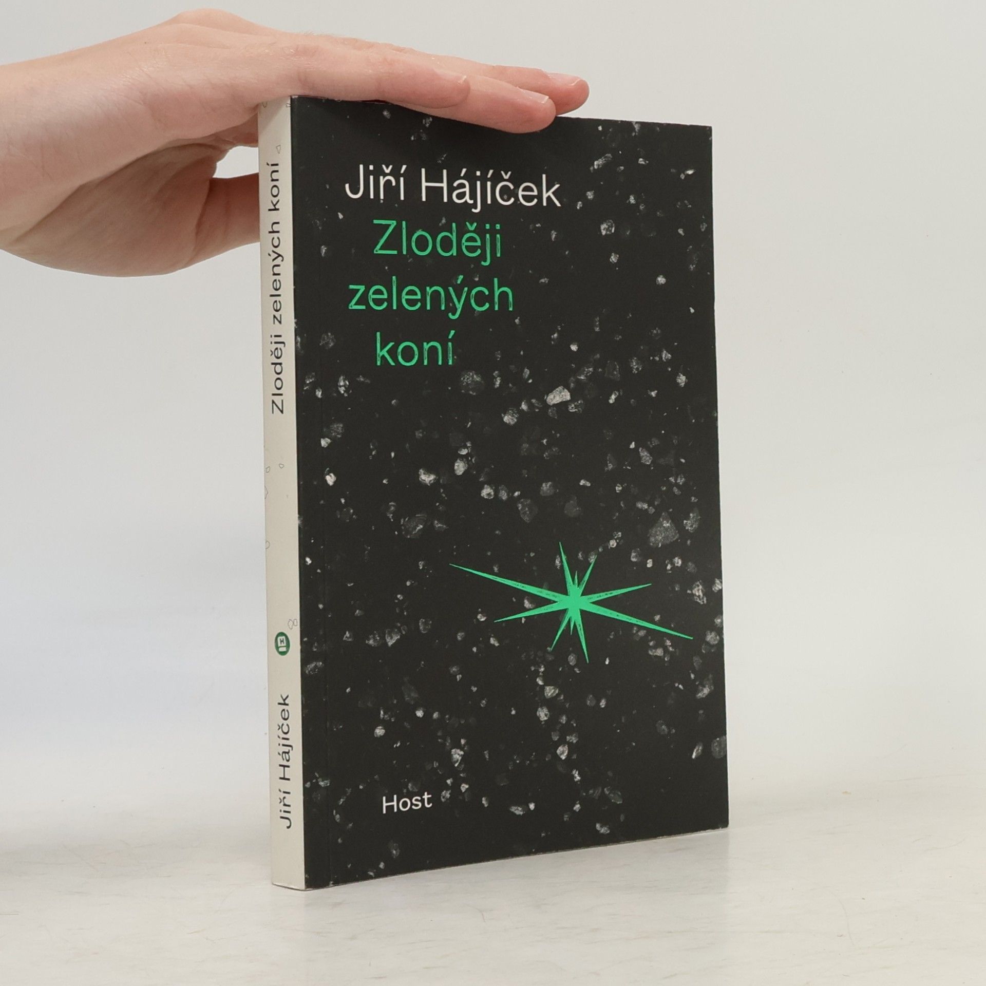 Jiří Hájíček Zloději zelených koní
