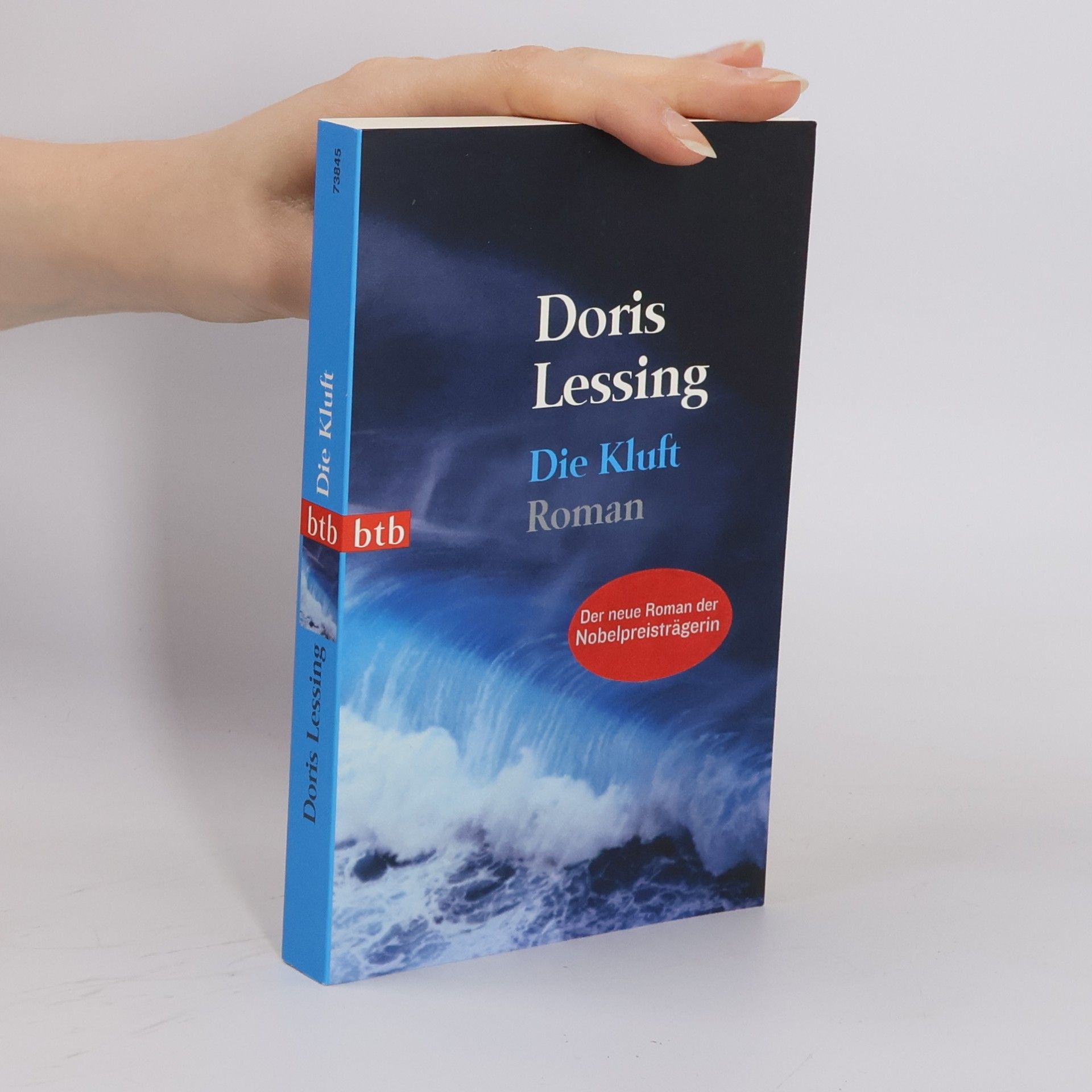 Doris Lessing Die Kluft