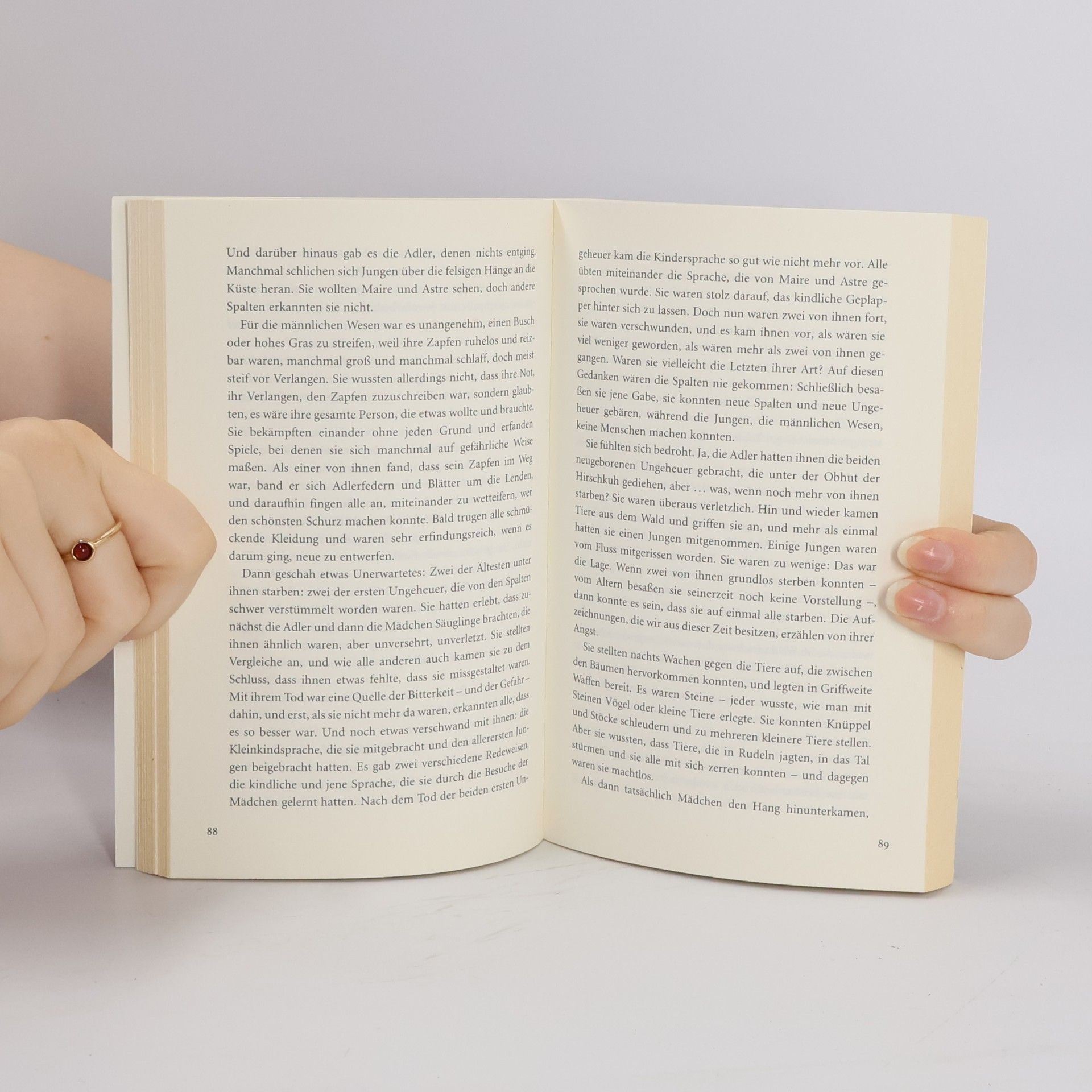Doris Lessing Die Kluft