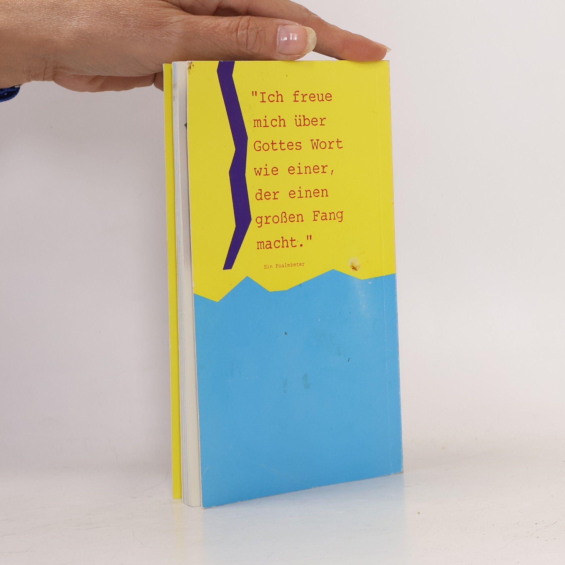 kolektiv Die ersten 100 Tage mit der Bibel