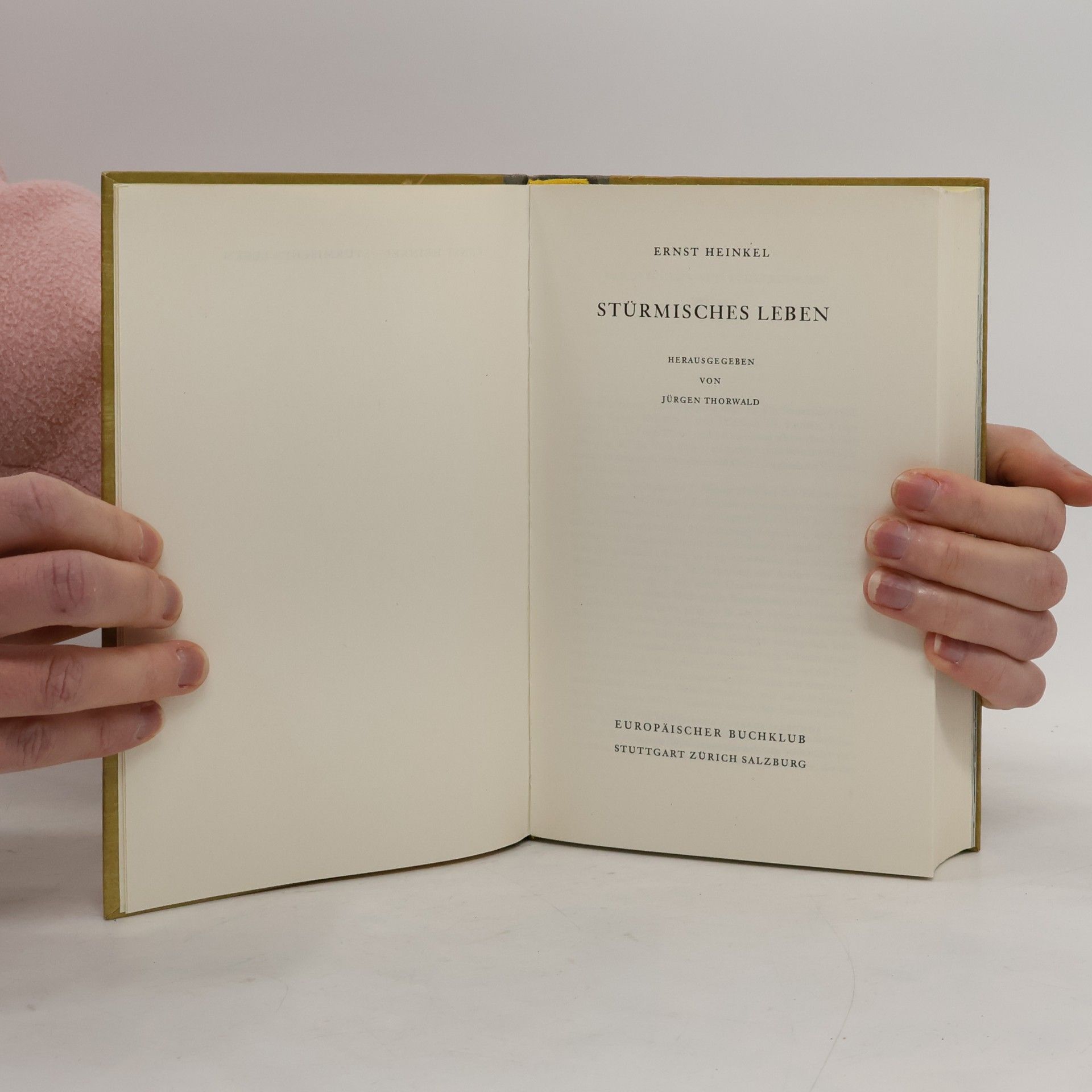 Ernst Heinkel Stürmisches Leben