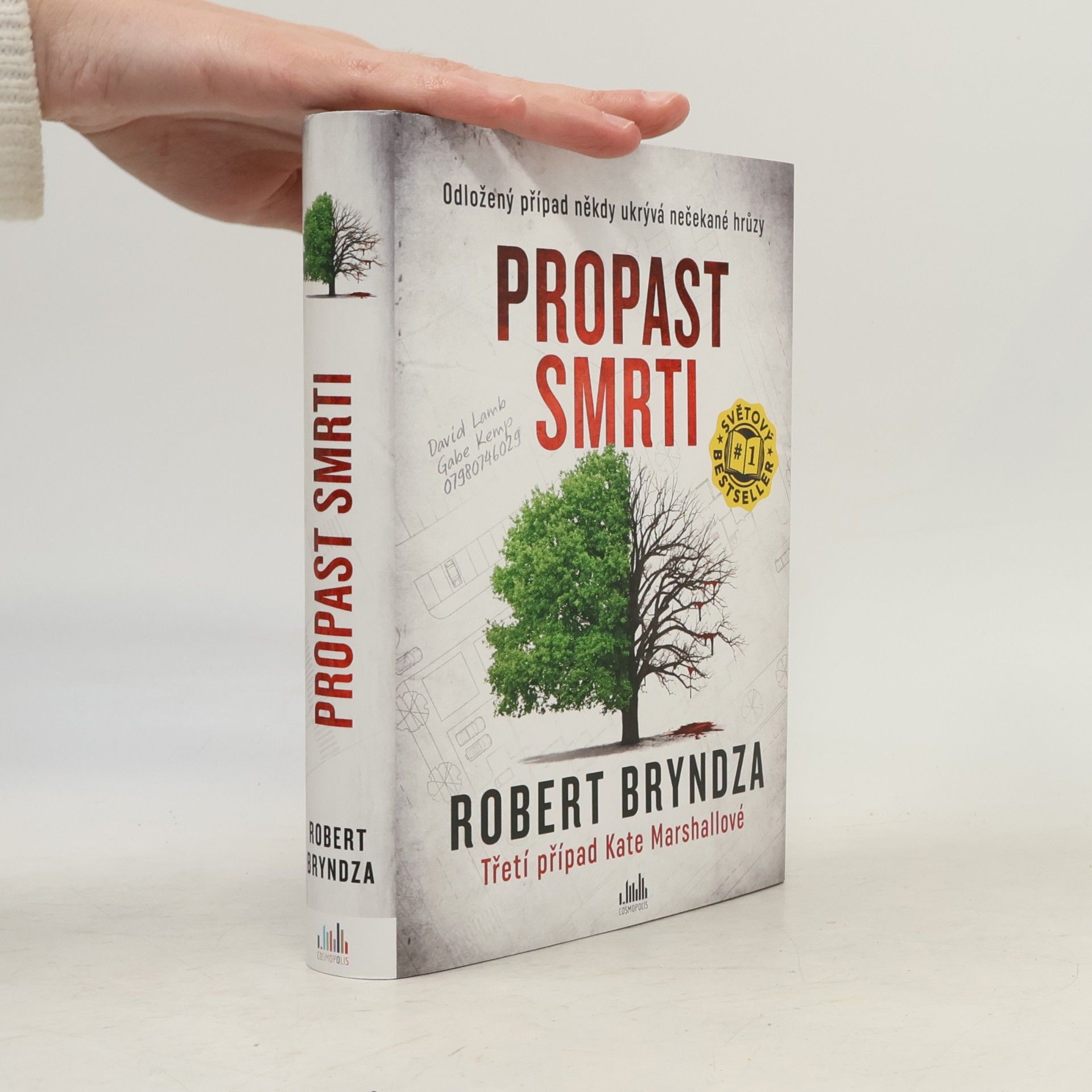 Robert Bryndza Propast smrti