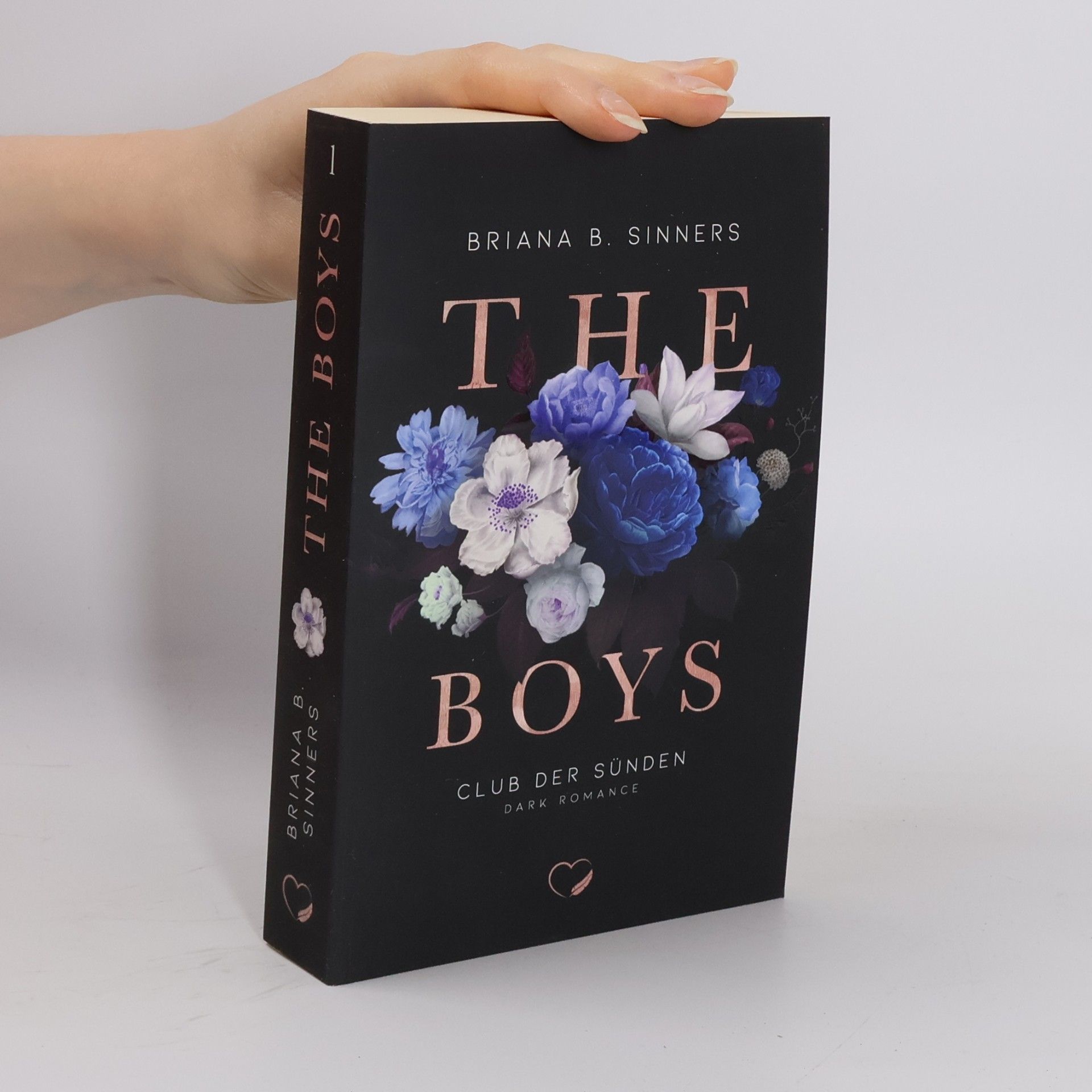 Briana B. Sinners The Boys
