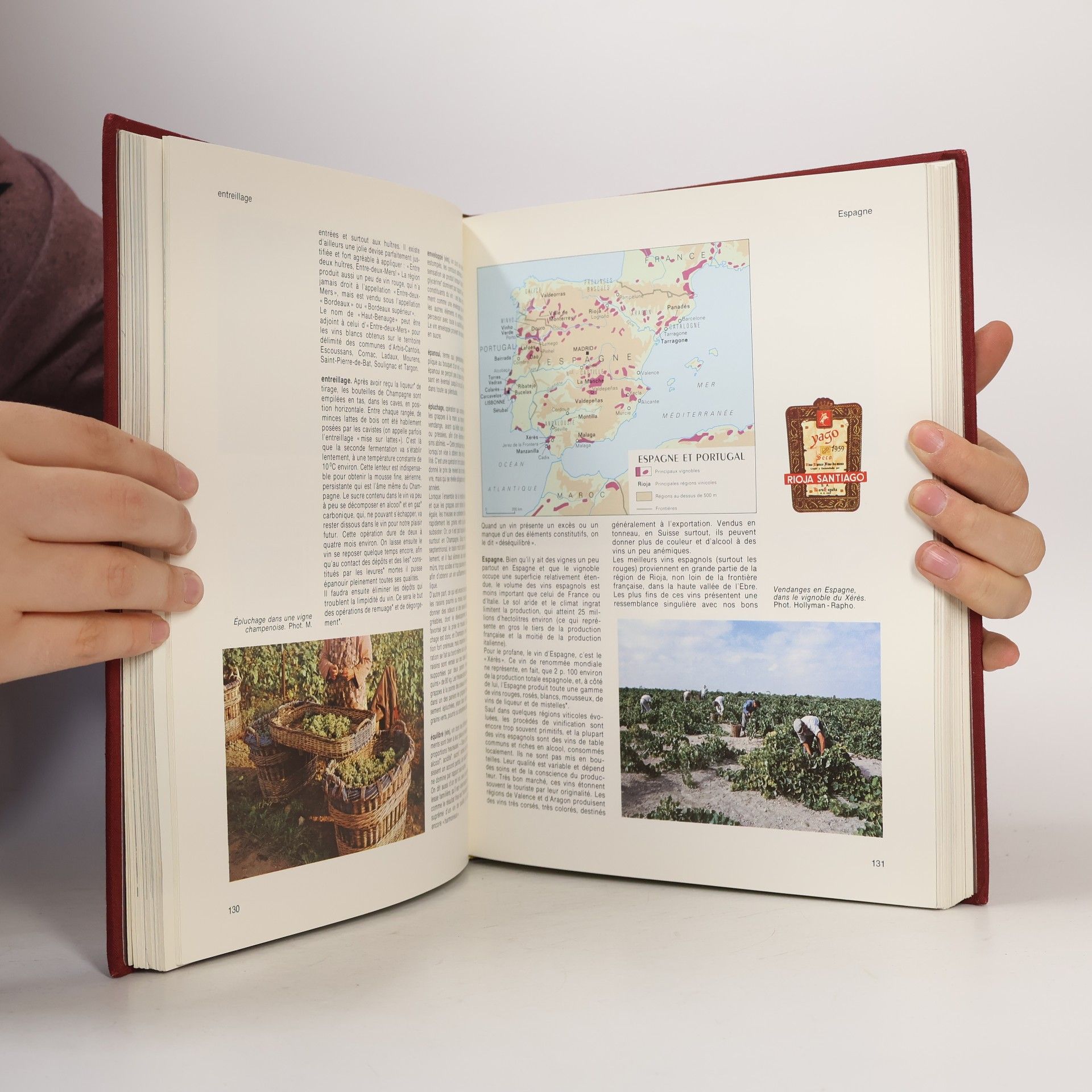 Gérard Debuigne Nouveau Larousse des vins